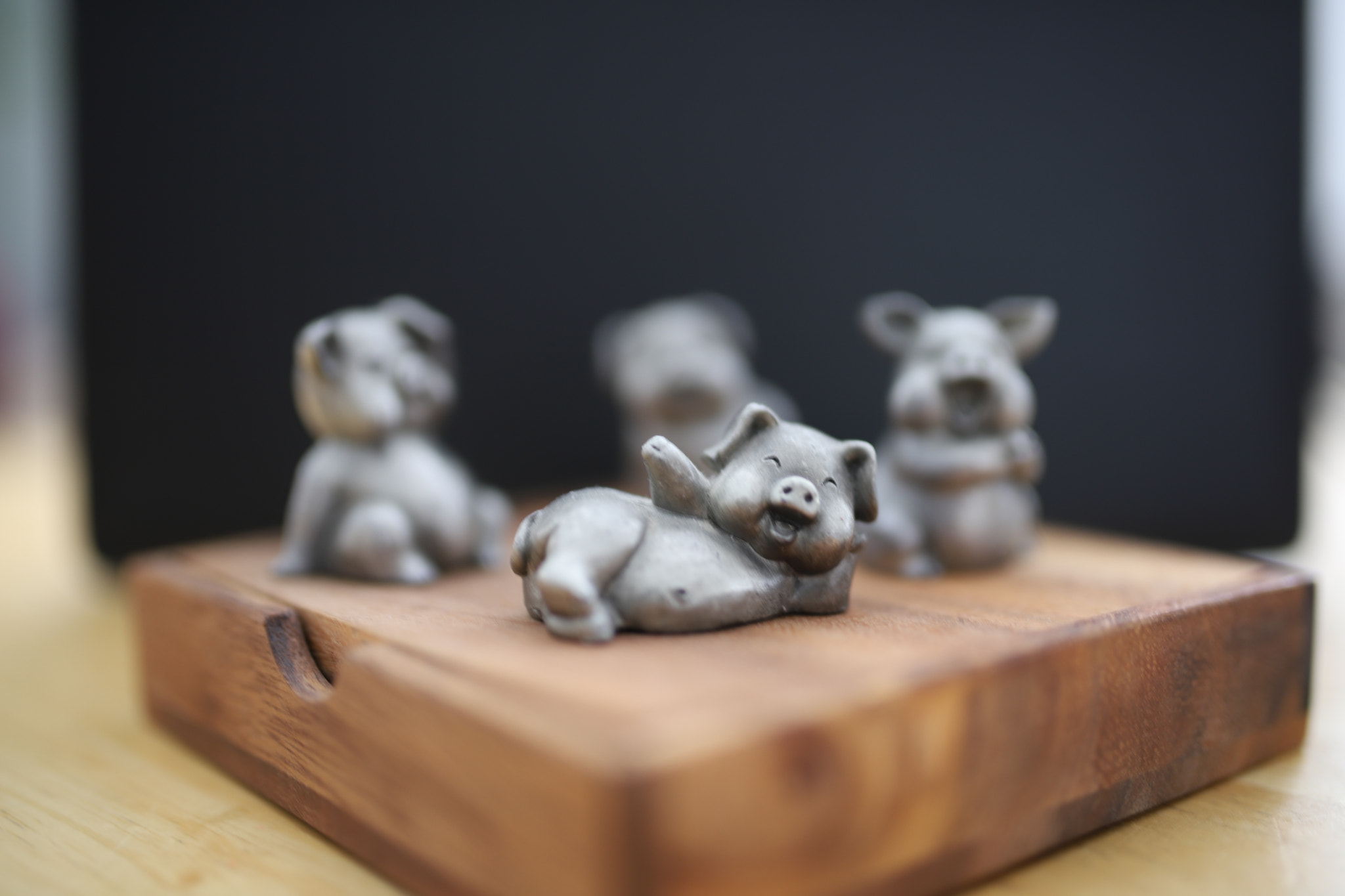 Canon EOS 6D Mark II sample photo. #whenpigsdontfly photography