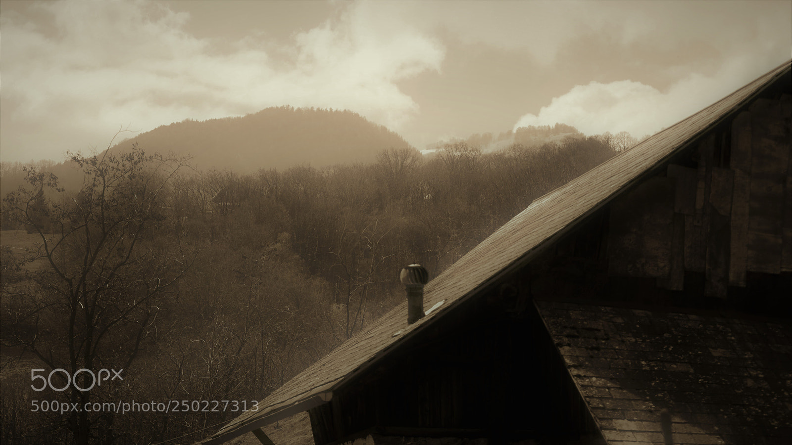 Nikon D3200 sample photo. Untitled photography