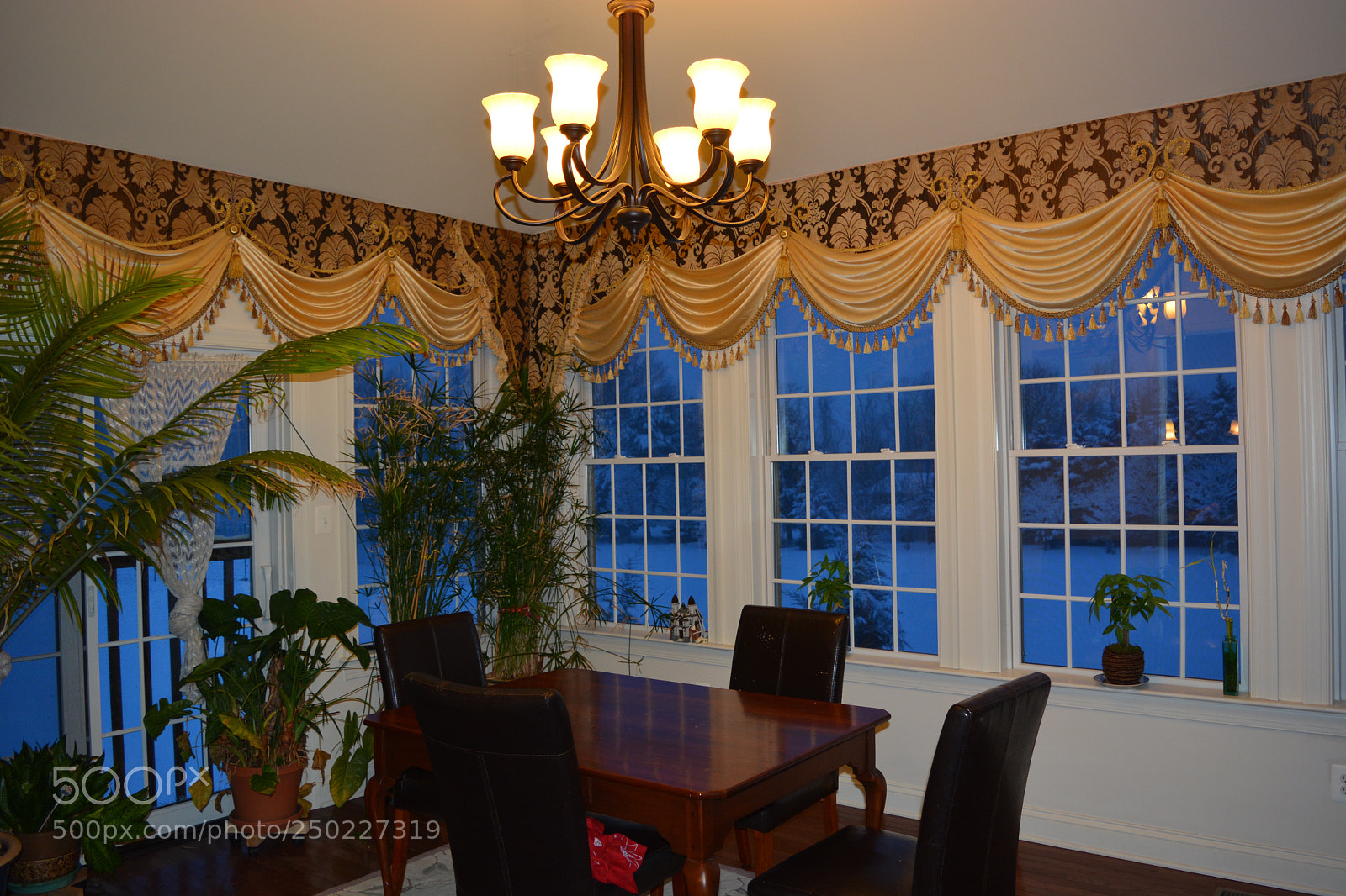 Nikon D7100 sample photo. Untitled photography