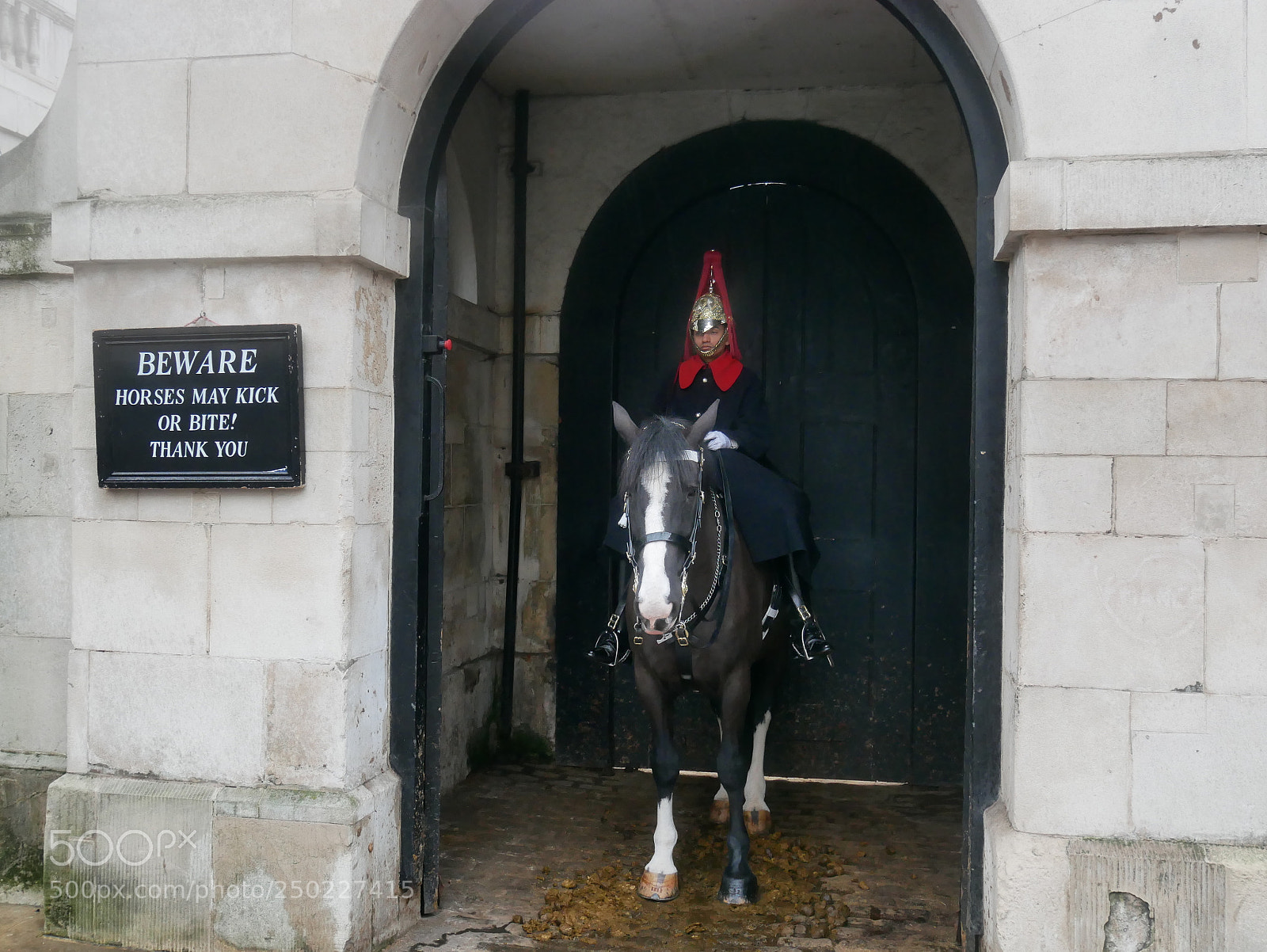 Panasonic Lumix DMC-GX85 (Lumix DMC-GX80 / Lumix DMC-GX7 Mark II) sample photo. Horse guards photography