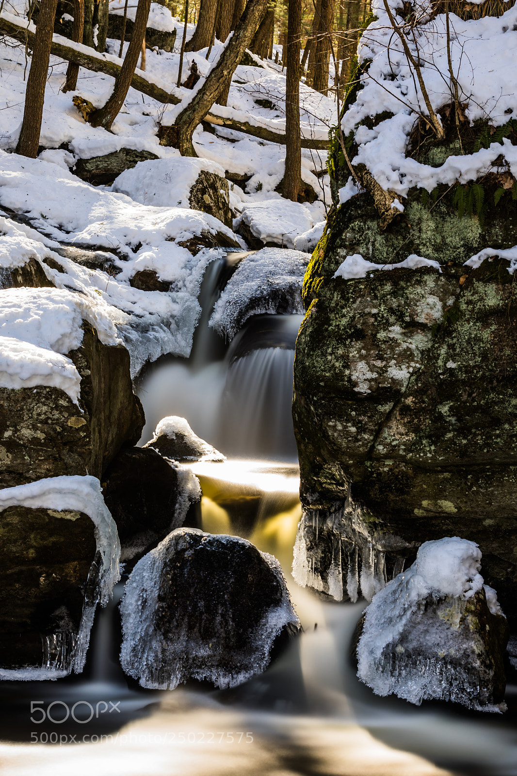 Canon EOS 5D Mark IV sample photo. Cold gold falls photography