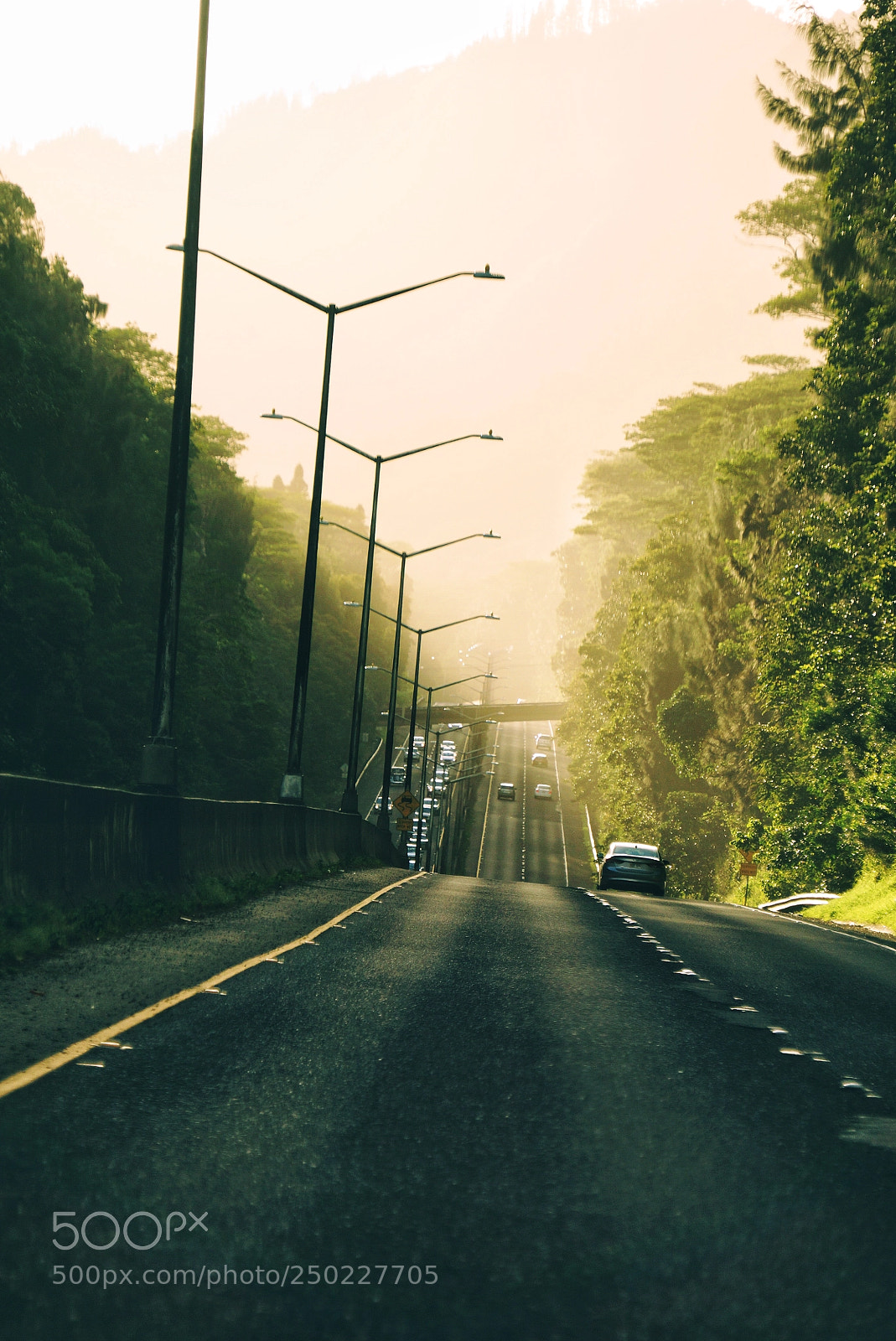 Sony Alpha NEX-7 sample photo. On the way to photography