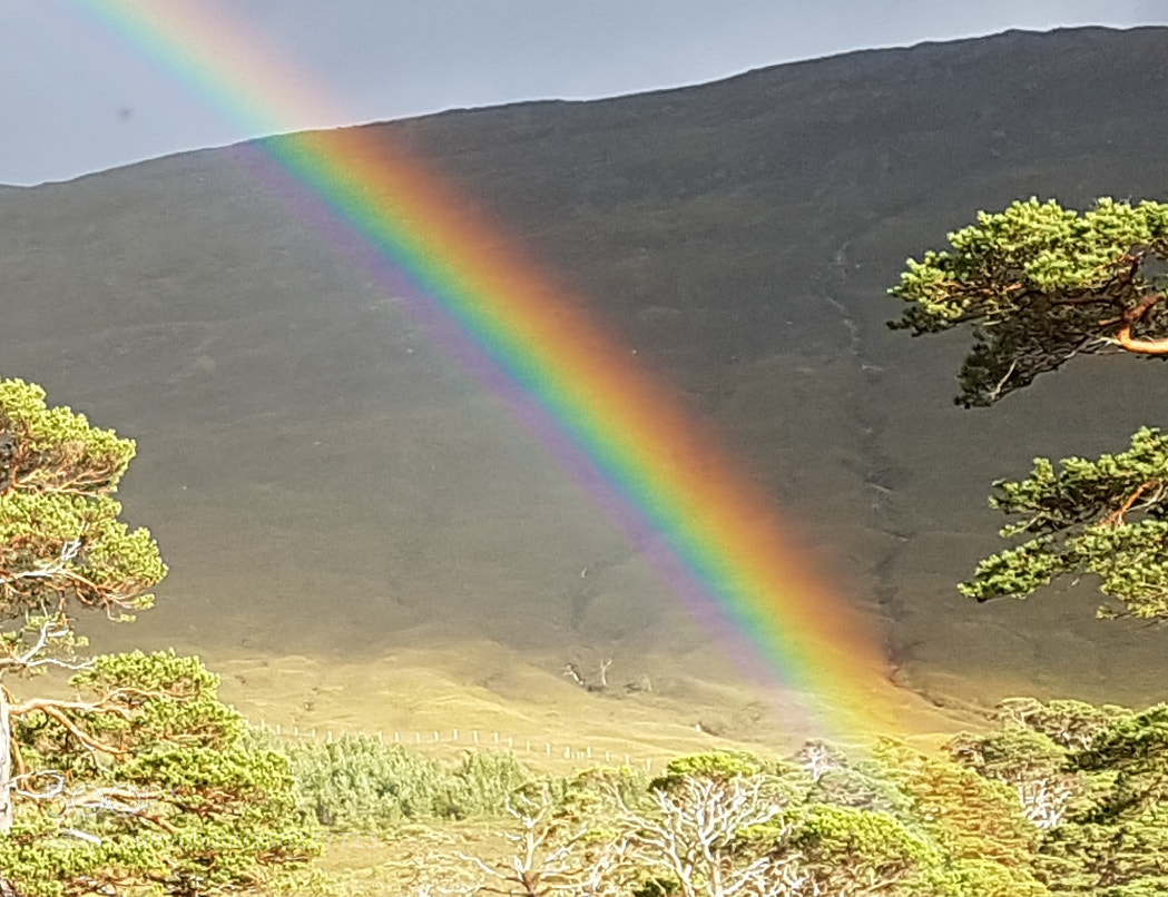 Samsung Galaxy S7 Edge sample photo. Caught rainbow photography