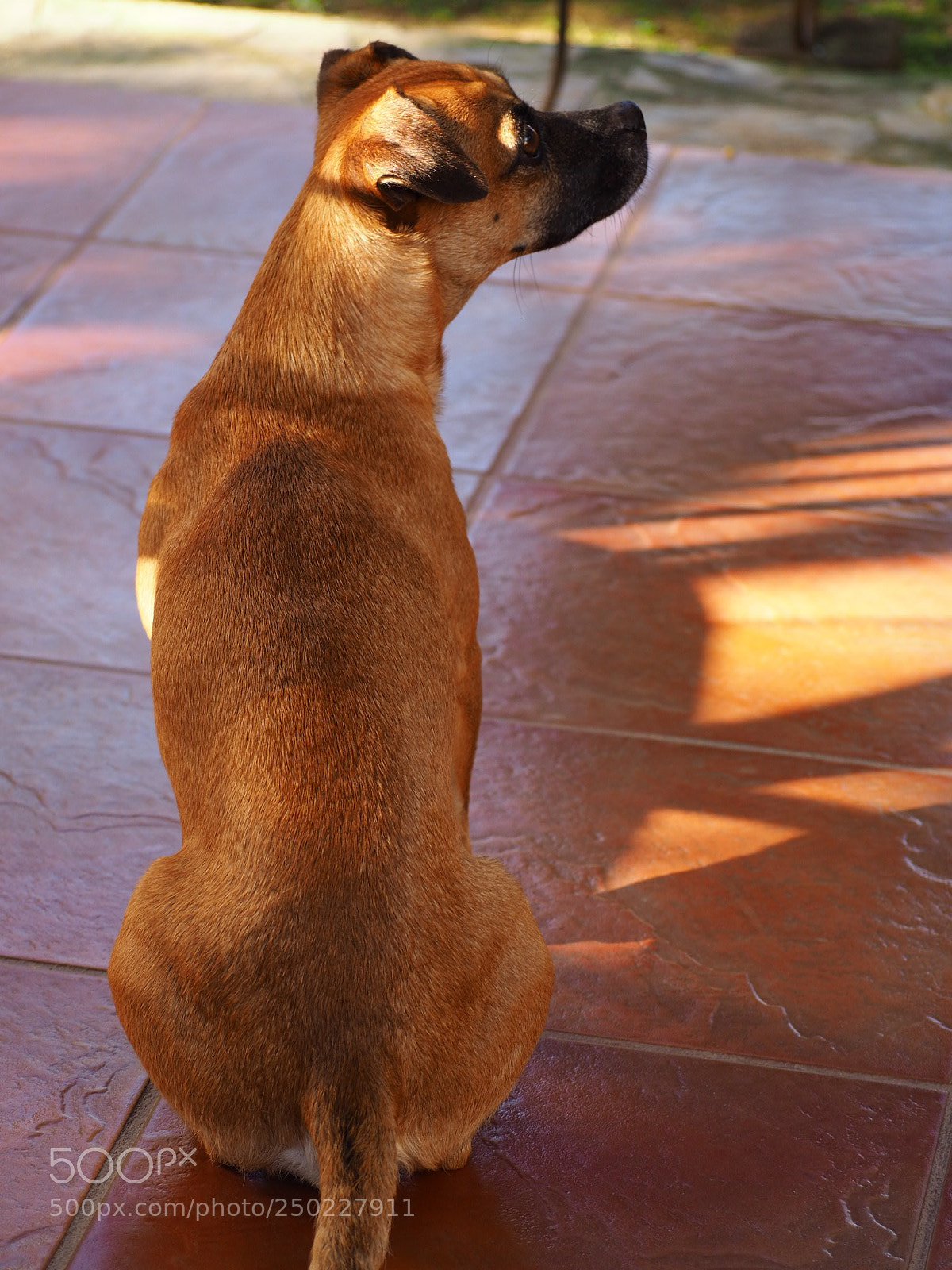 Olympus OM-D E-M10 II sample photo. Love you my little photography