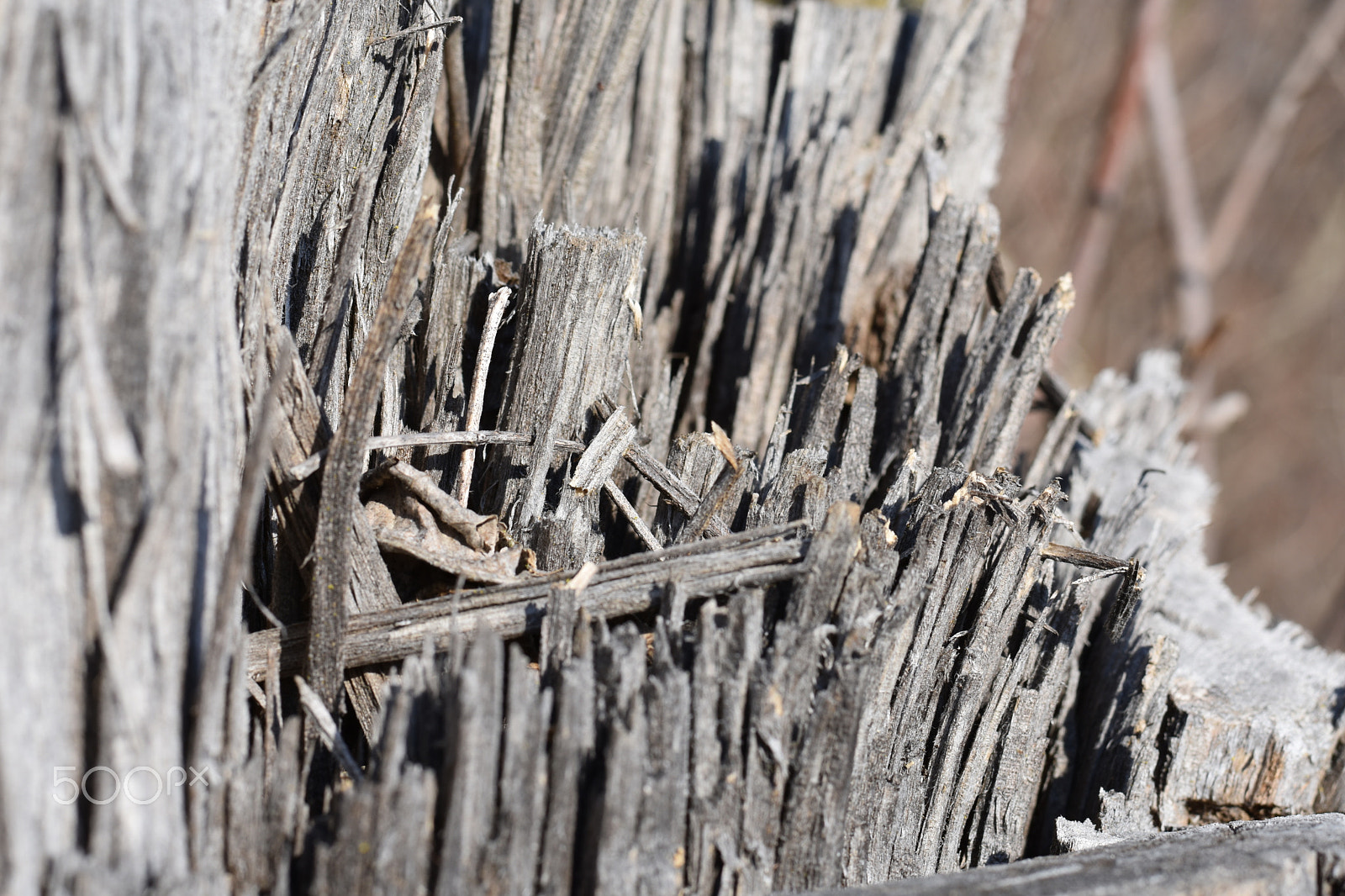 Nikon D3400 + Nikon AF-S Nikkor 50mm F1.8G sample photo. Dsc photography