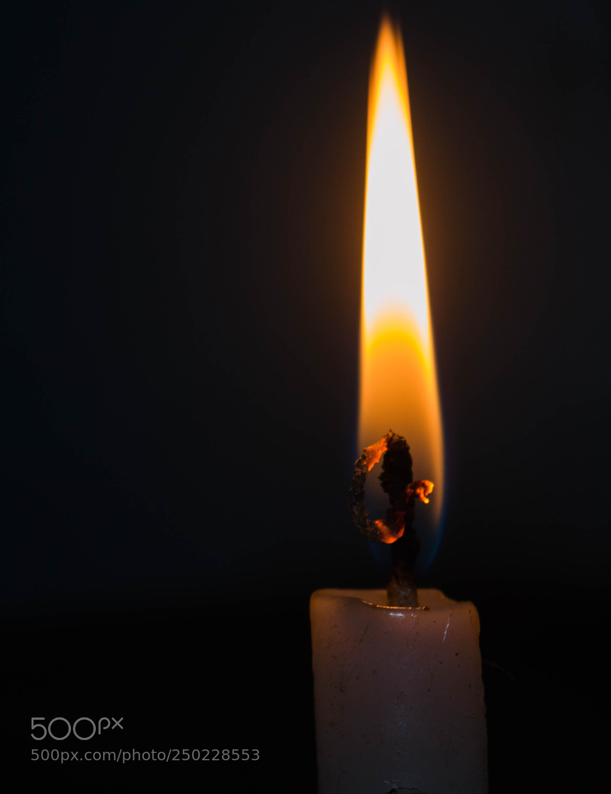 Nikon D3200 sample photo. Untitled photography