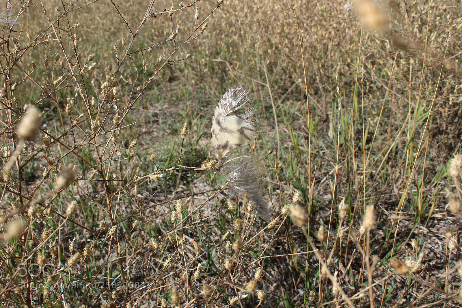 Canon EOS 1200D (EOS Rebel T5 / EOS Kiss X70 / EOS Hi) sample photo. Img photography