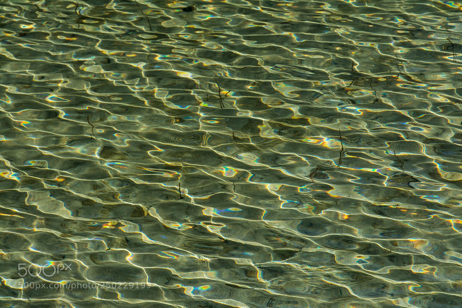 Nikon D7100 sample photo. Picture of the day photography