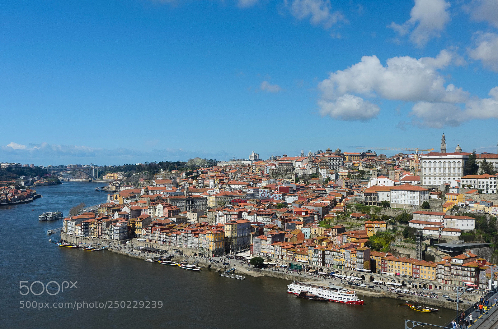 Nikon D5100 sample photo. Porto photography