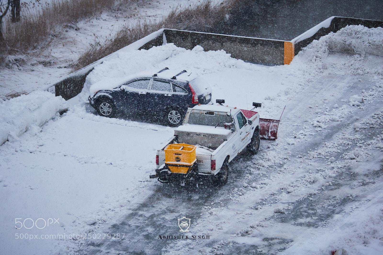 Canon EOS 750D (EOS Rebel T6i / EOS Kiss X8i) sample photo. Dusting the white freezing photography