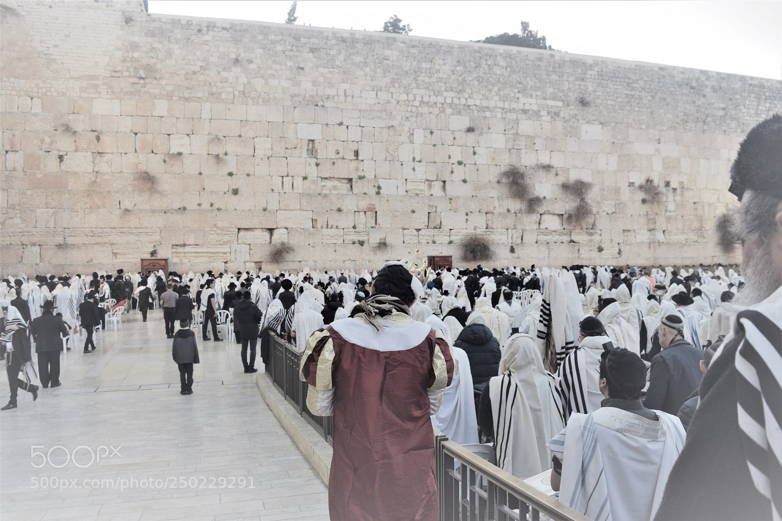 Nikon D5300 sample photo. ירושלים 2018 photography
