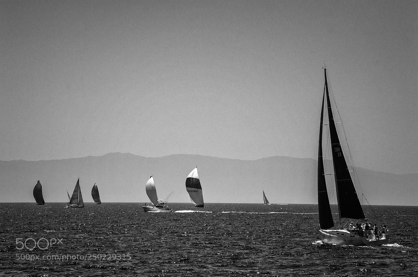 Nikon D3200 sample photo. Regatta del centenario de photography