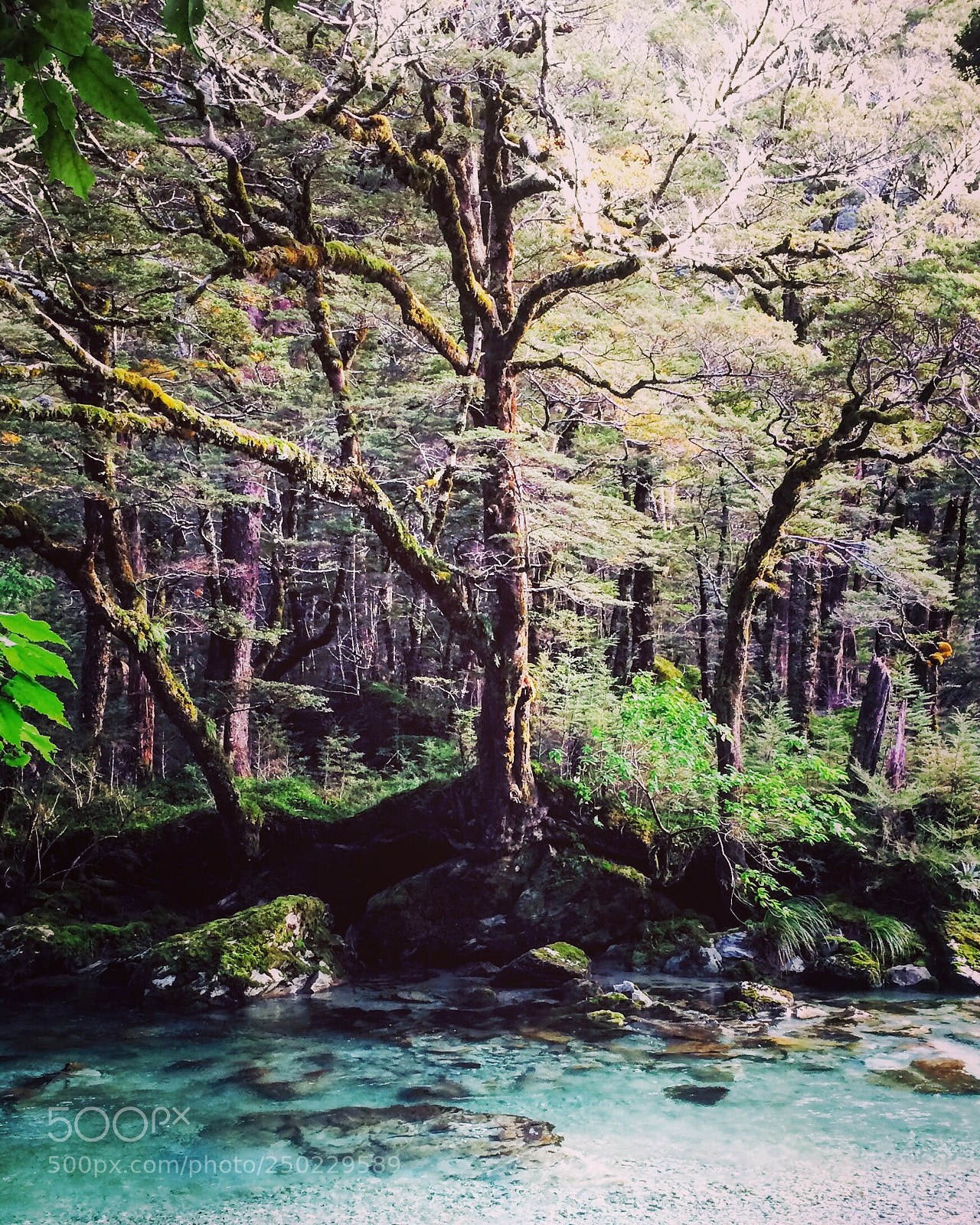 Apple iPhone 5s sample photo. Bfb bbaadecf photography