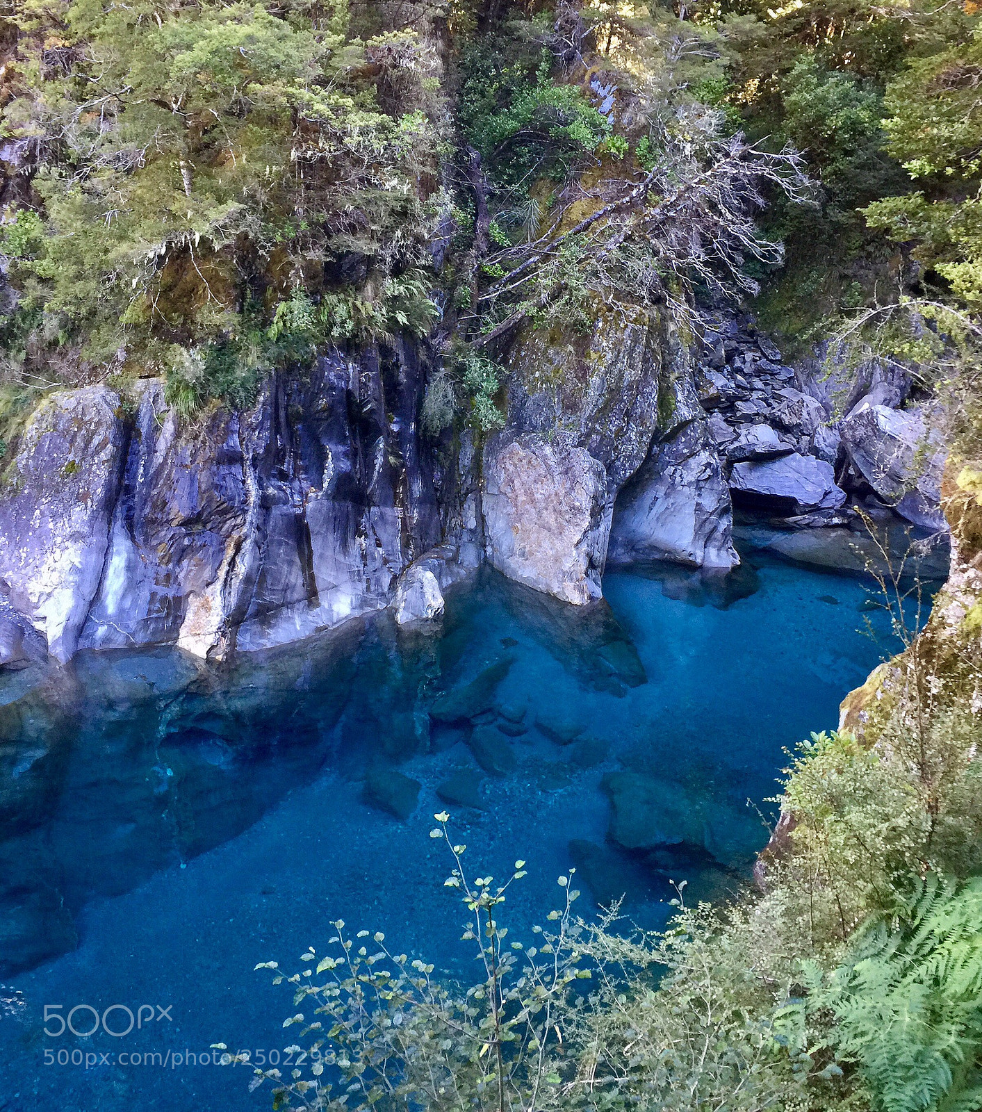 Apple iPhone 6 Plus sample photo. Cfccbfc photography