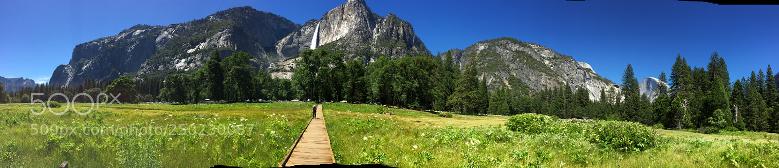 Apple iPhone 6 sample photo. Yosemite journey photography