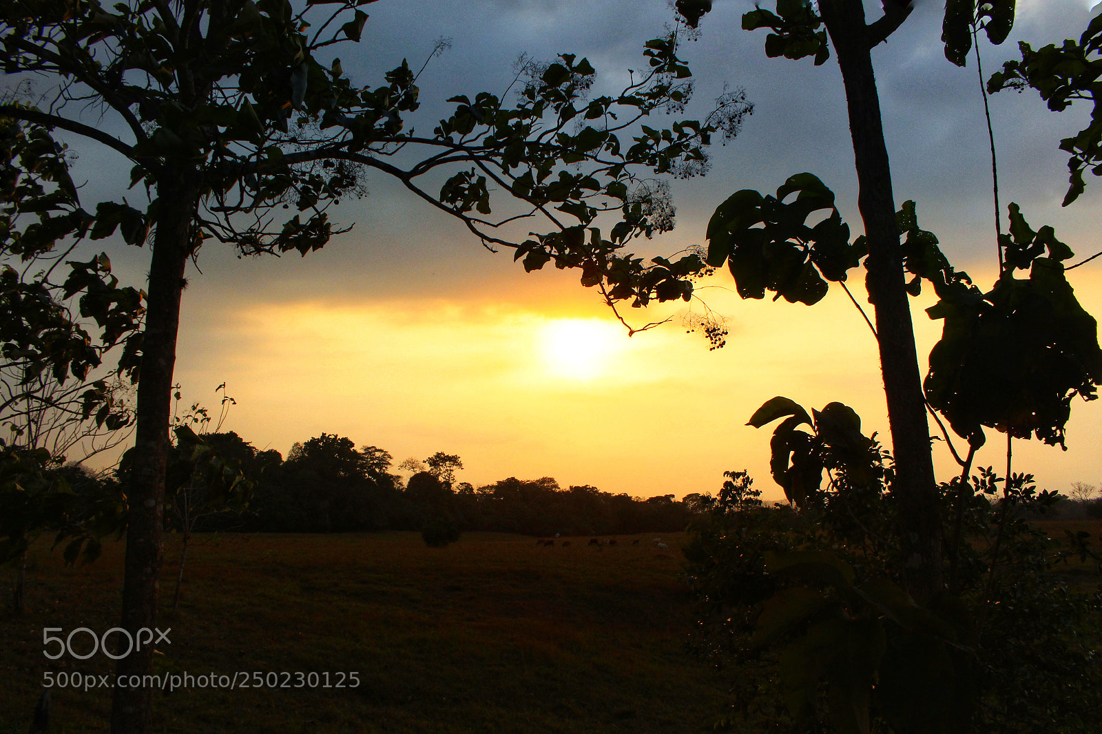 Canon EOS 700D (EOS Rebel T5i / EOS Kiss X7i) sample photo. Untitled photography