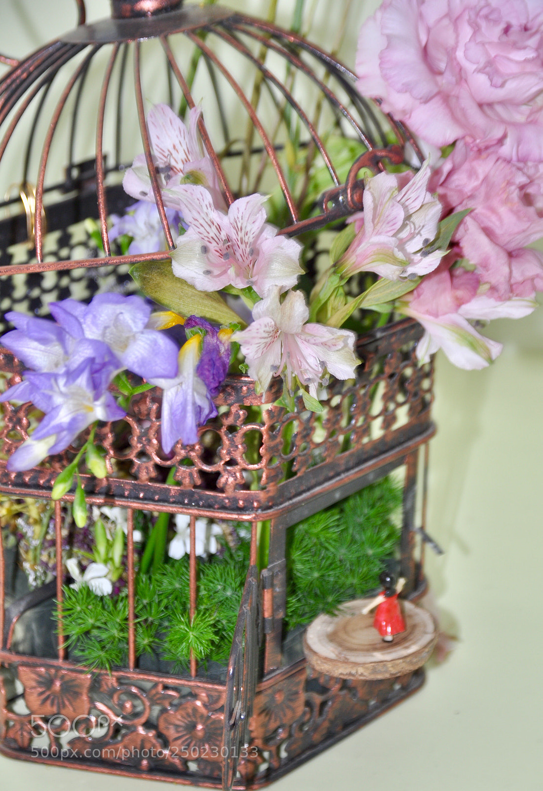 Nikon D90 sample photo. Flower cage photography