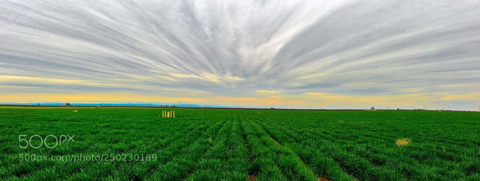 Pentax K-3 II sample photo. Crows landing pano photography