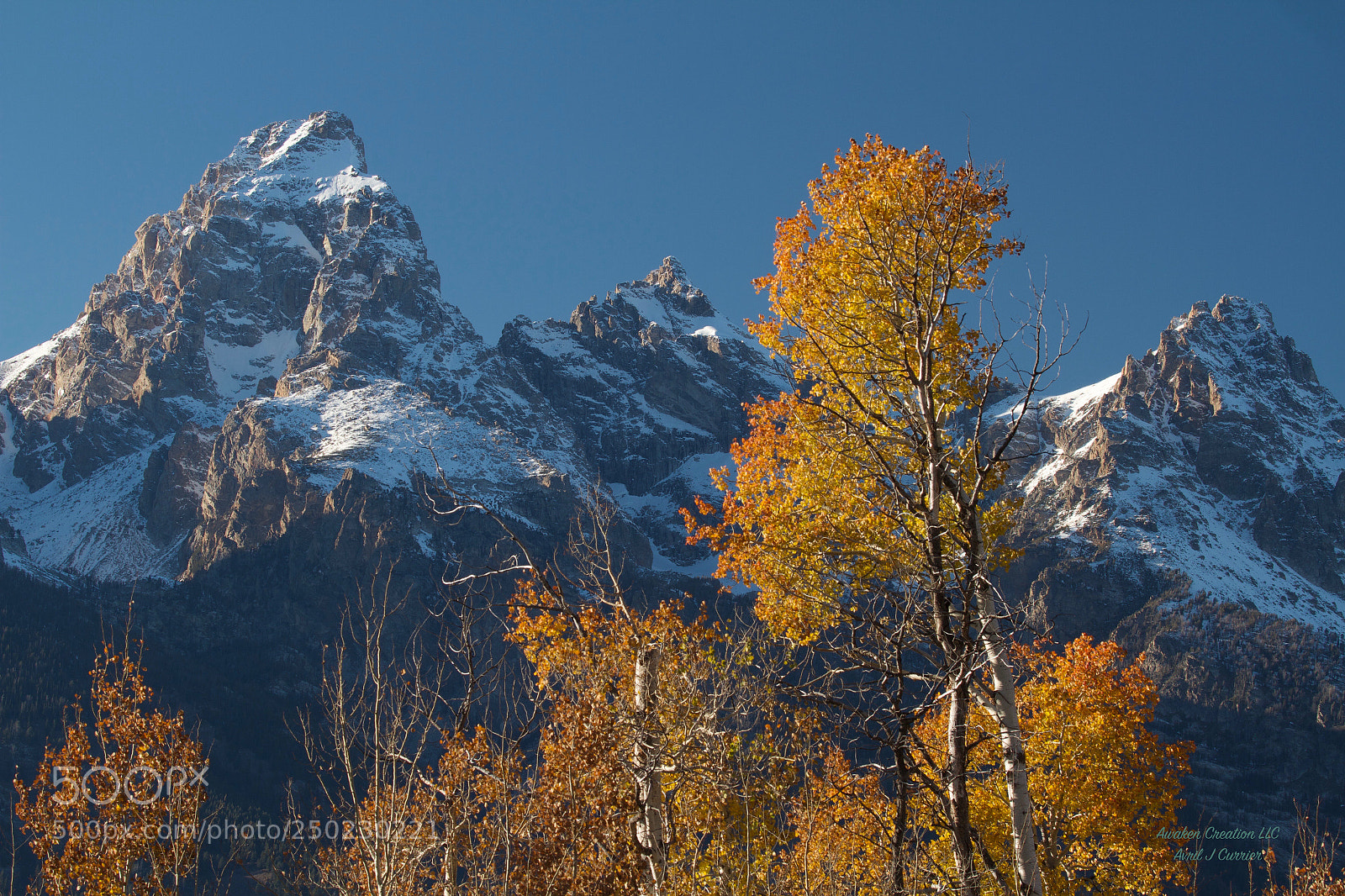 Canon EOS 7D sample photo. Colorful aspens photography