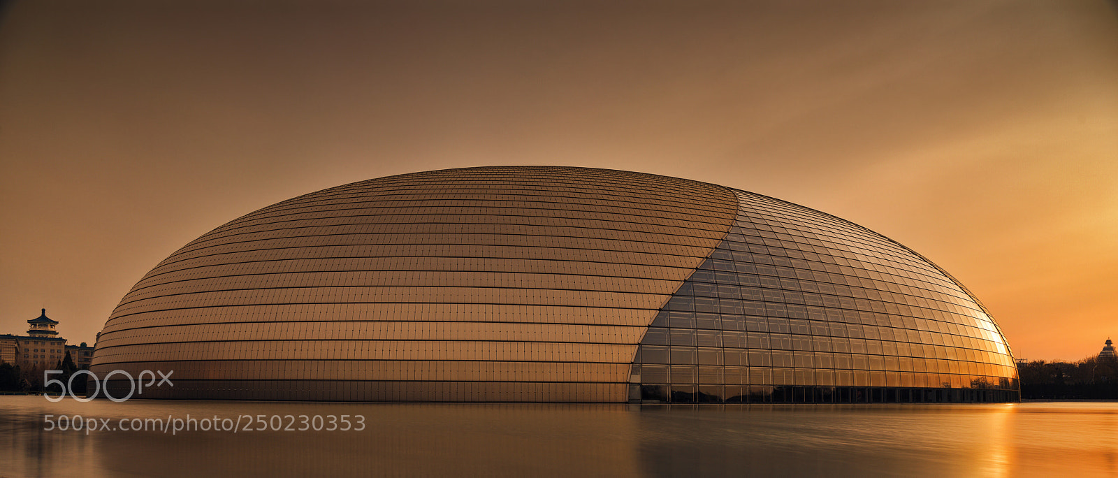 Nikon D810 sample photo. Goden egg photography