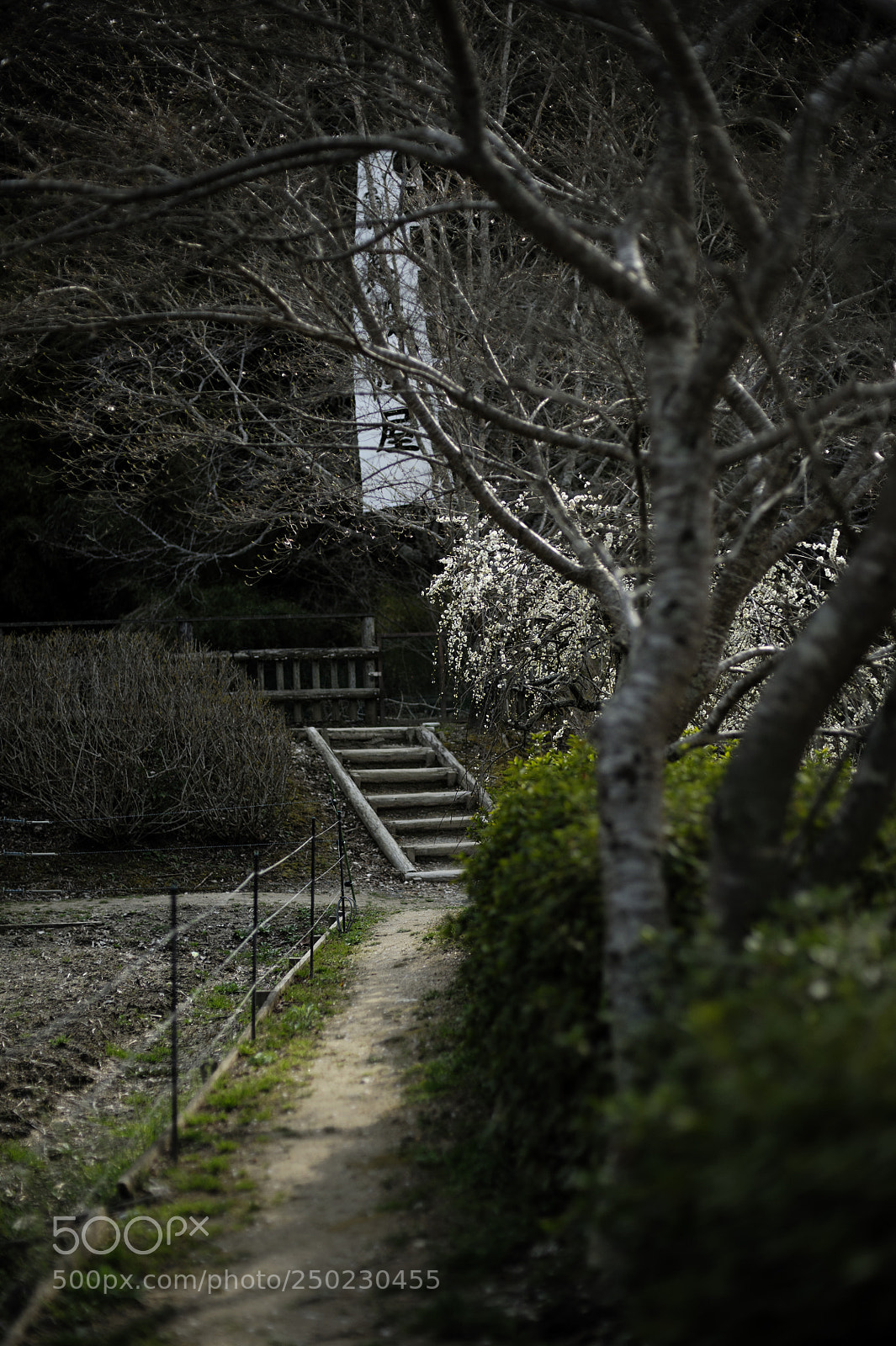 Nikon D700 sample photo. 20180322#1 photography