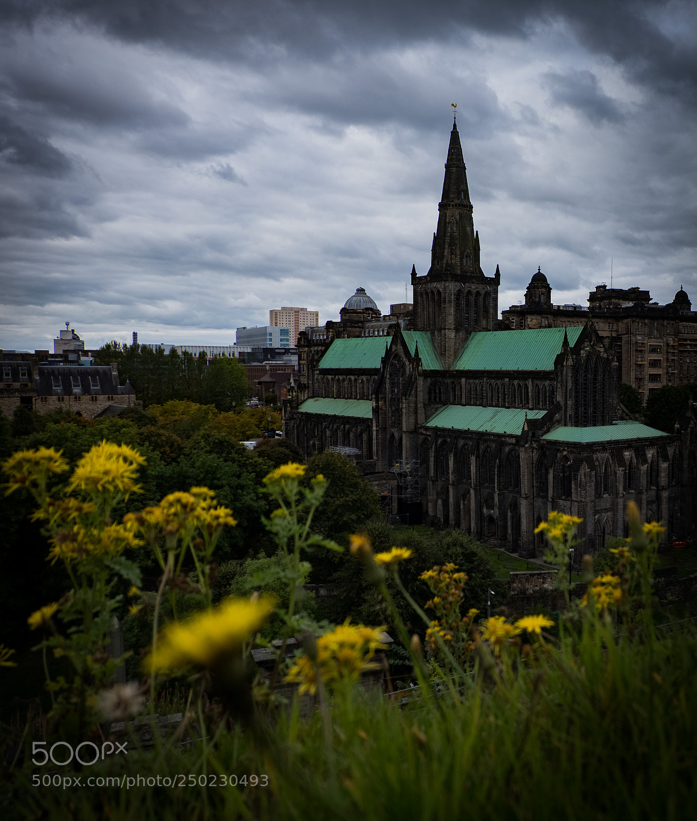 Fujifilm X-T20 sample photo. At glasgow necropolis photography