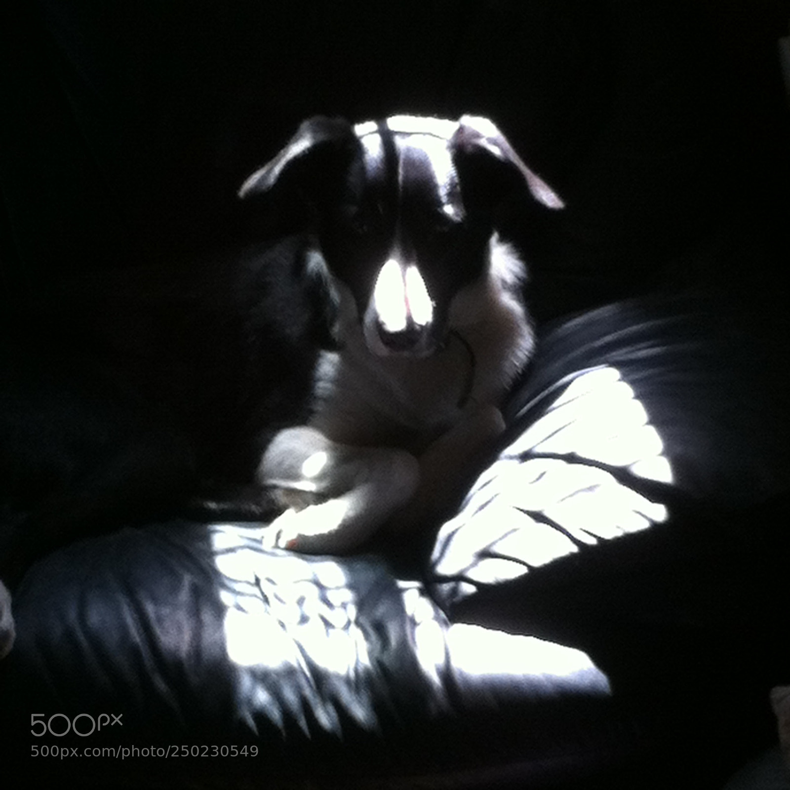 Apple iPhone 4 sample photo. Morning lights and shadows photography