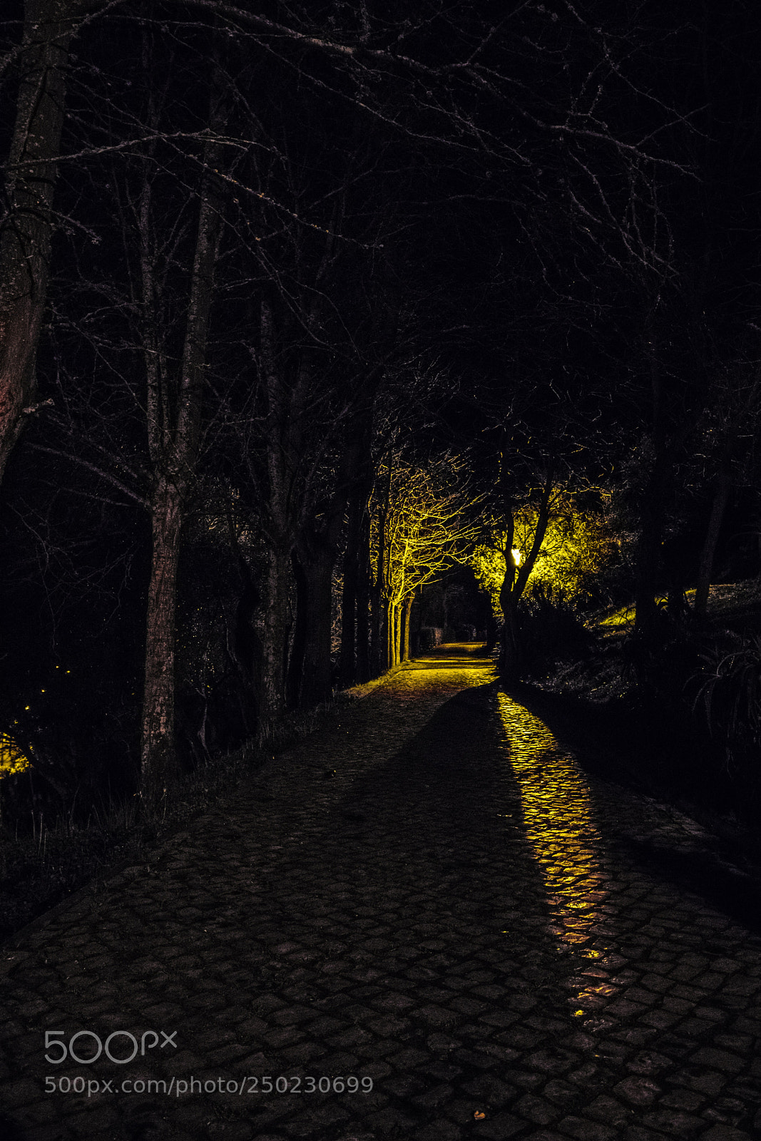 Canon EOS 80D sample photo. Street shadows photography
