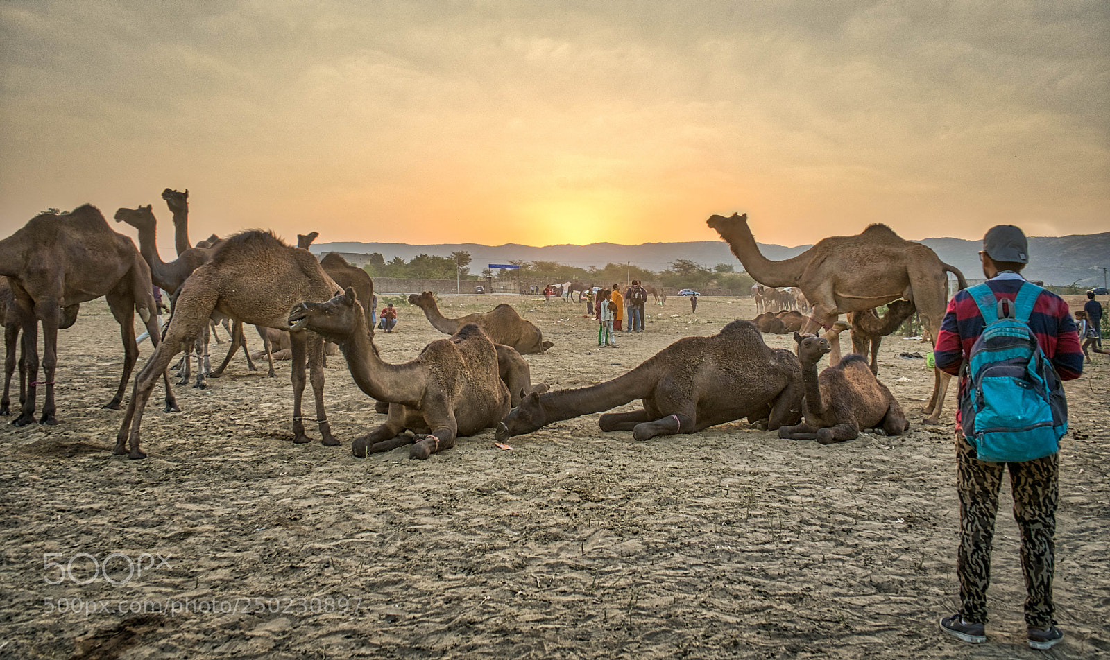 Sony a7 II sample photo. Photographer's ephimeris photography