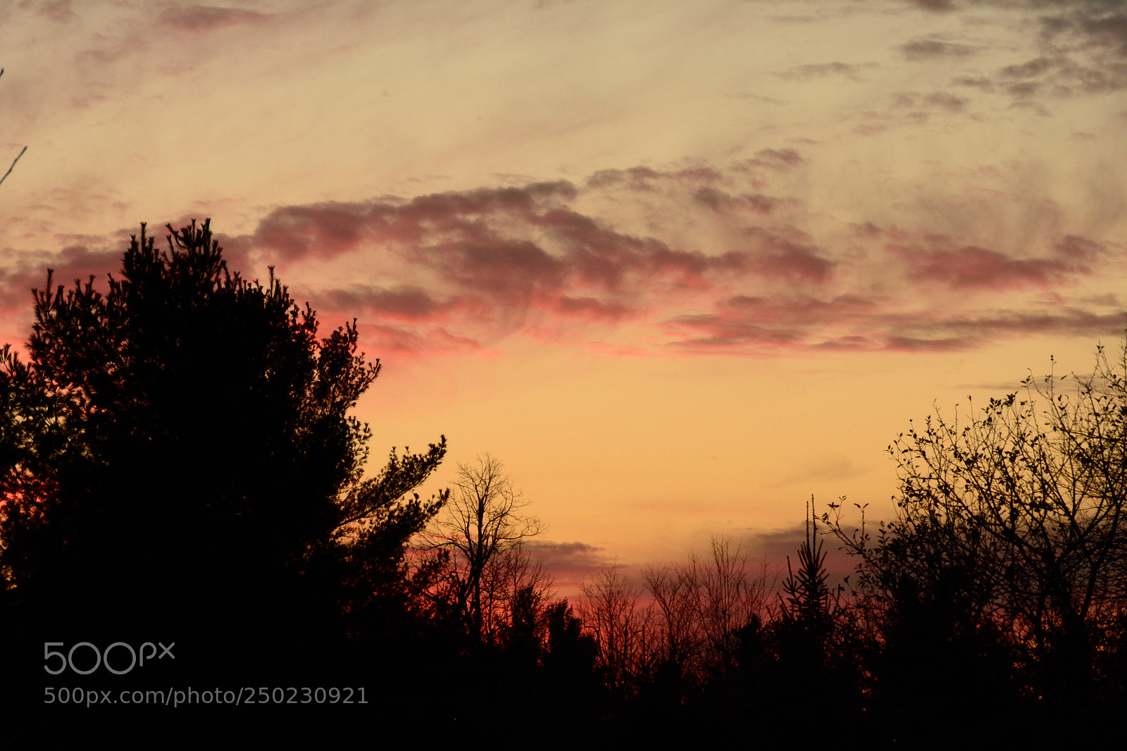 Nikon D7100 sample photo. Mango sunset photography