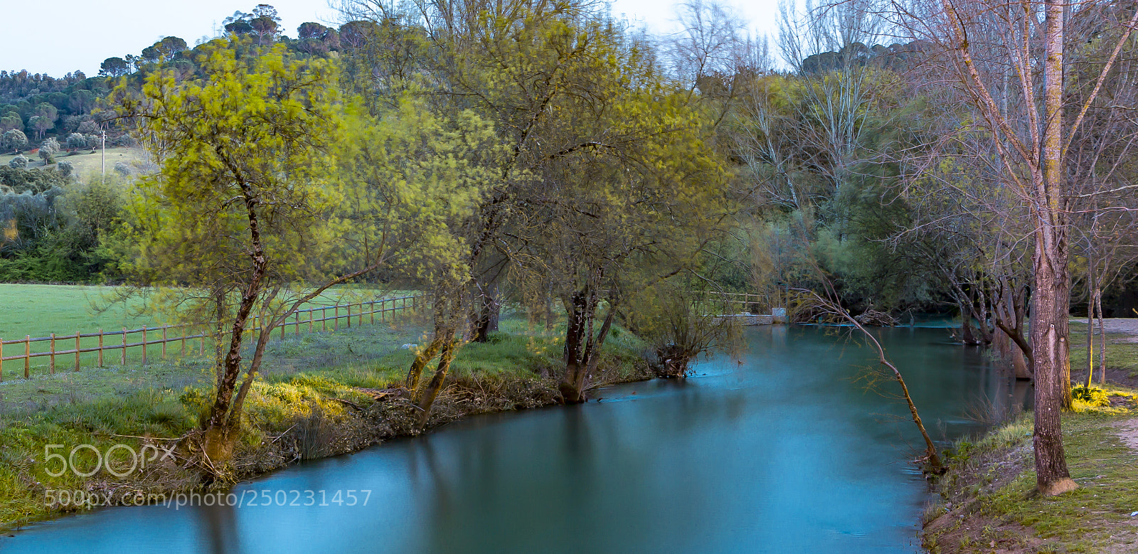 Canon EOS 70D sample photo. Untitled photography