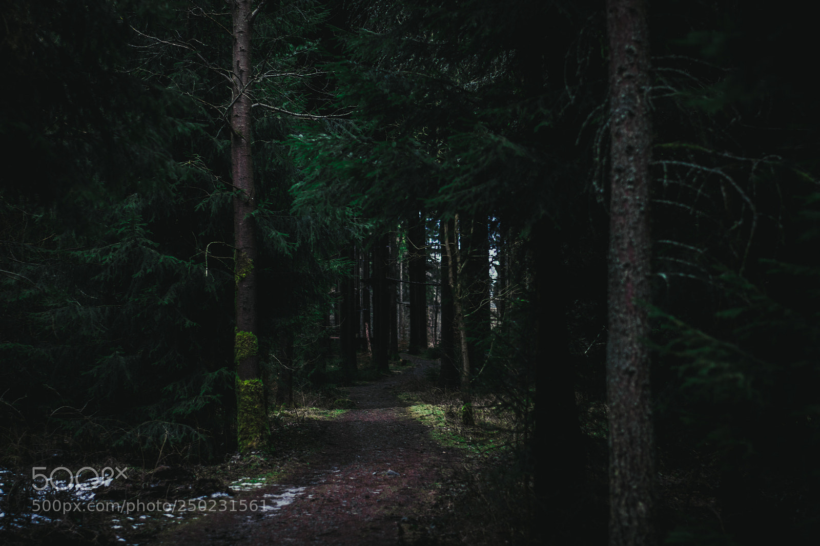 Nikon D3300 sample photo. Waldblick photography