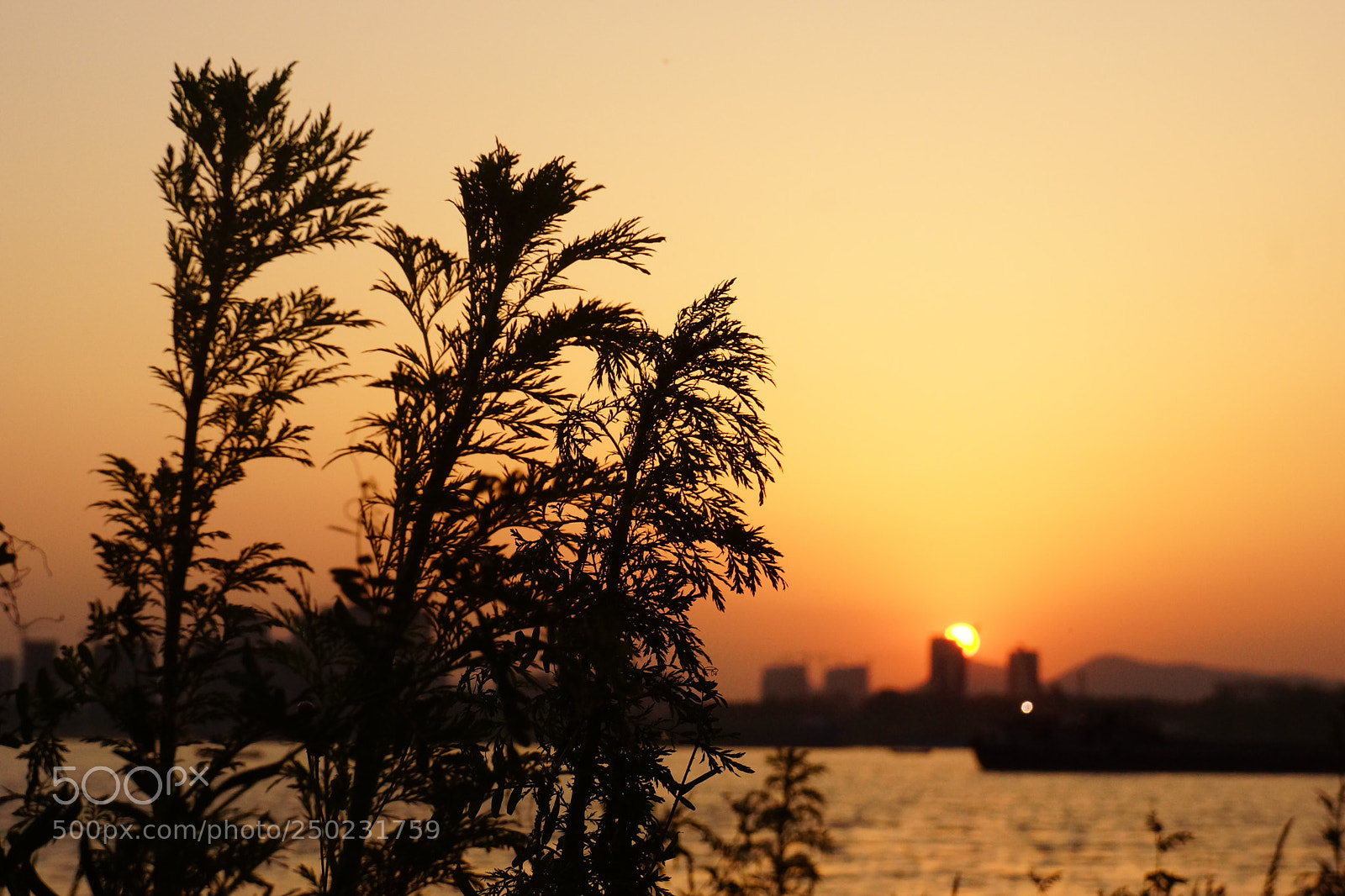 Sony Alpha NEX-7 sample photo. The sunset photography