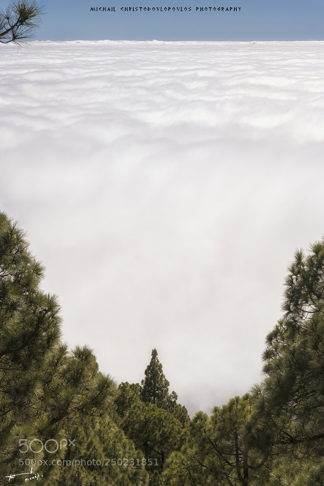 Nikon D810 sample photo. Parque nacional de la photography