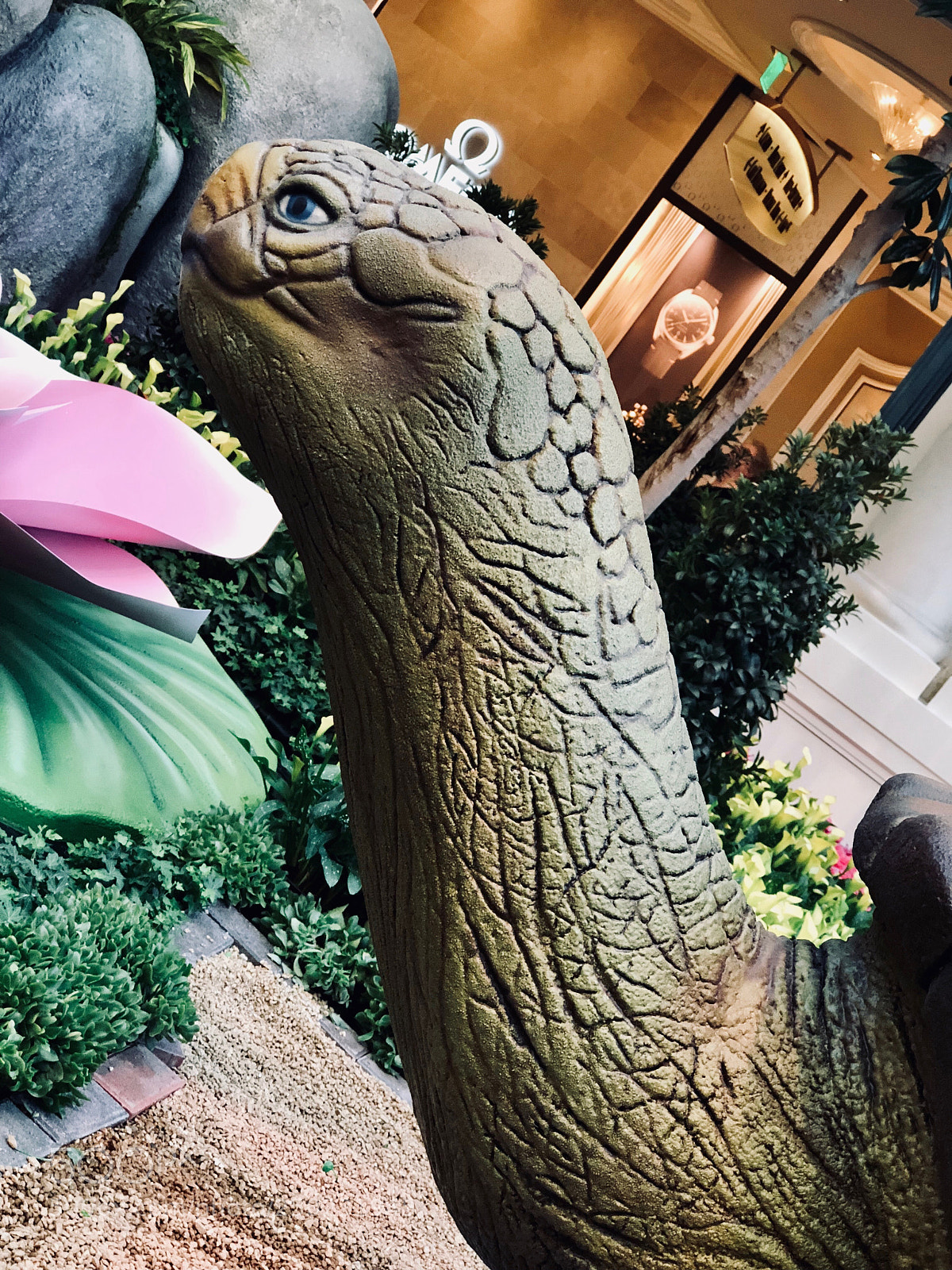 Apple iPhone 8 Plus sample photo. Turtle head photography