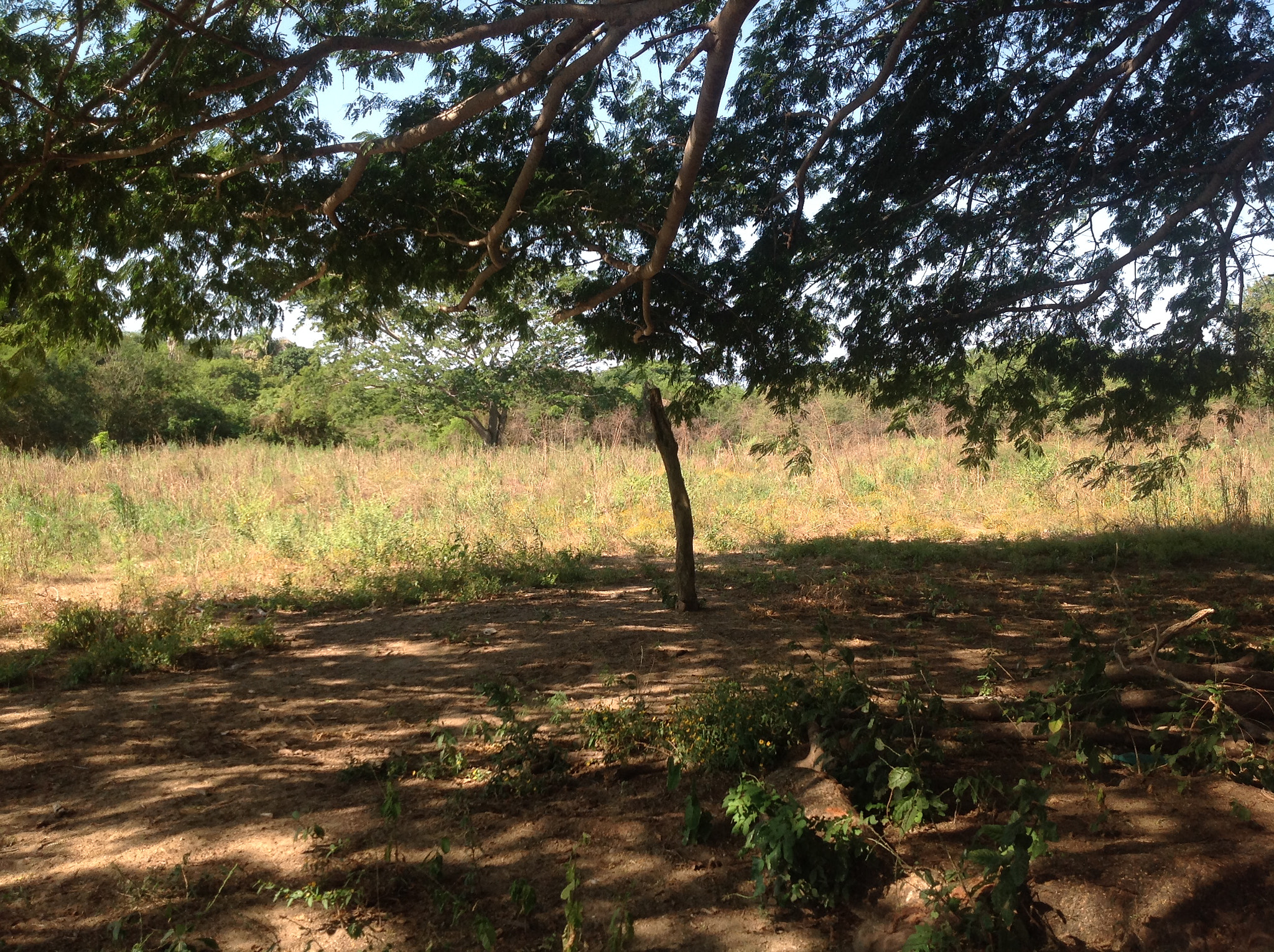 Apple iPad sample photo. Img photography
