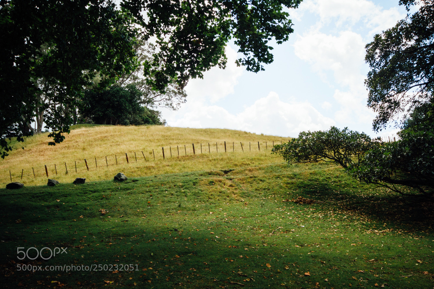 Canon EOS 7D sample photo. Cornwall park photography