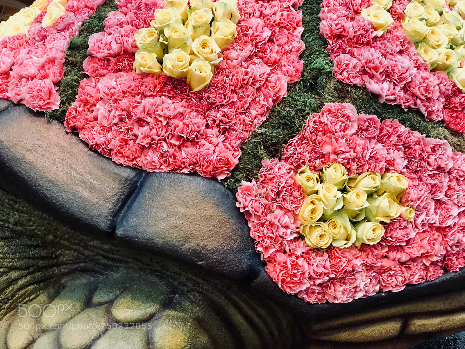 Apple iPhone 8 Plus sample photo. Turtle flowers photography