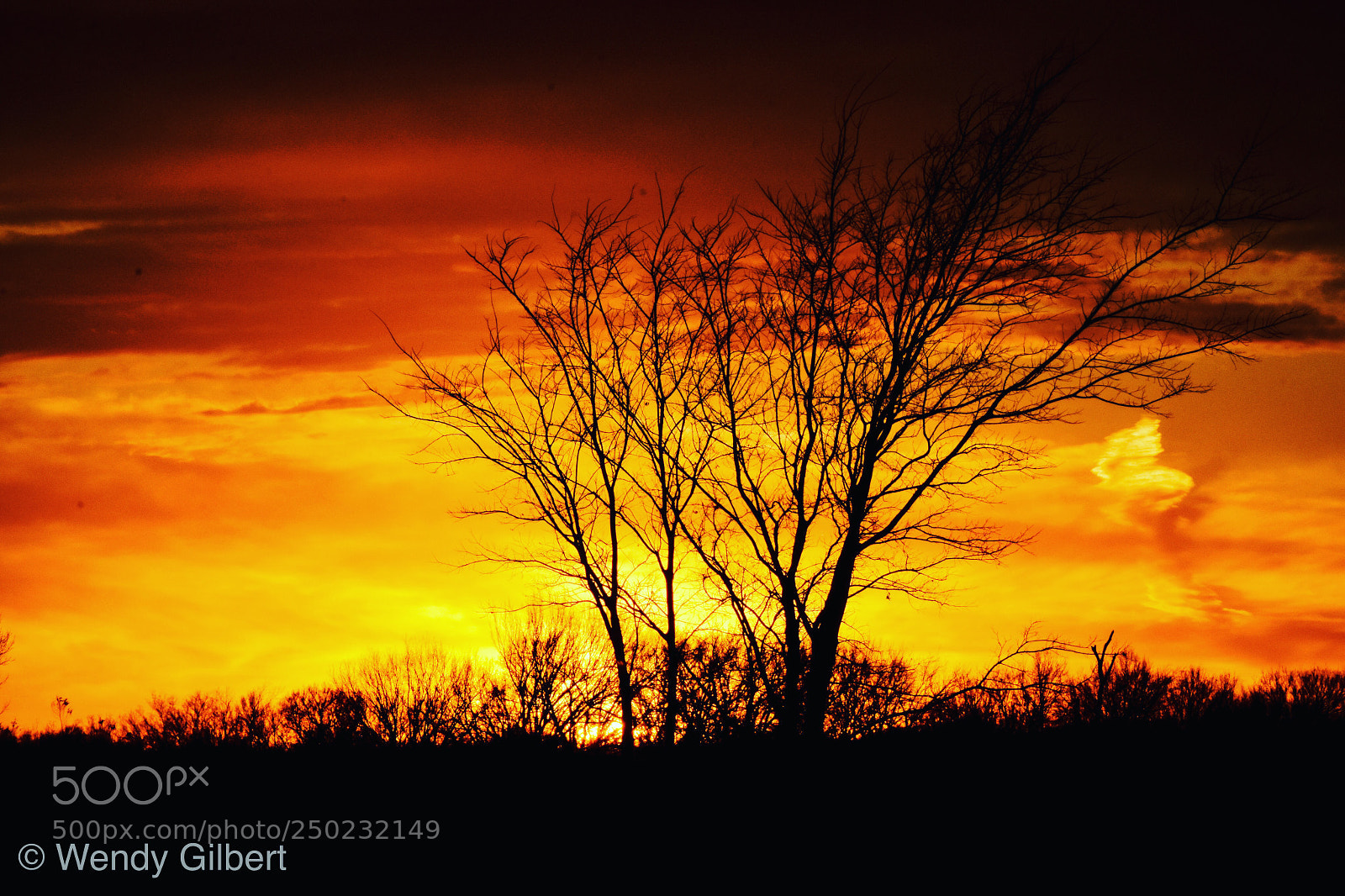 Nikon D7200 sample photo. Fiery sky photography
