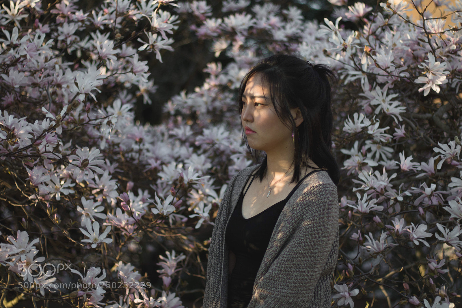 Canon EOS 750D (EOS Rebel T6i / EOS Kiss X8i) sample photo. You are a flower, photography