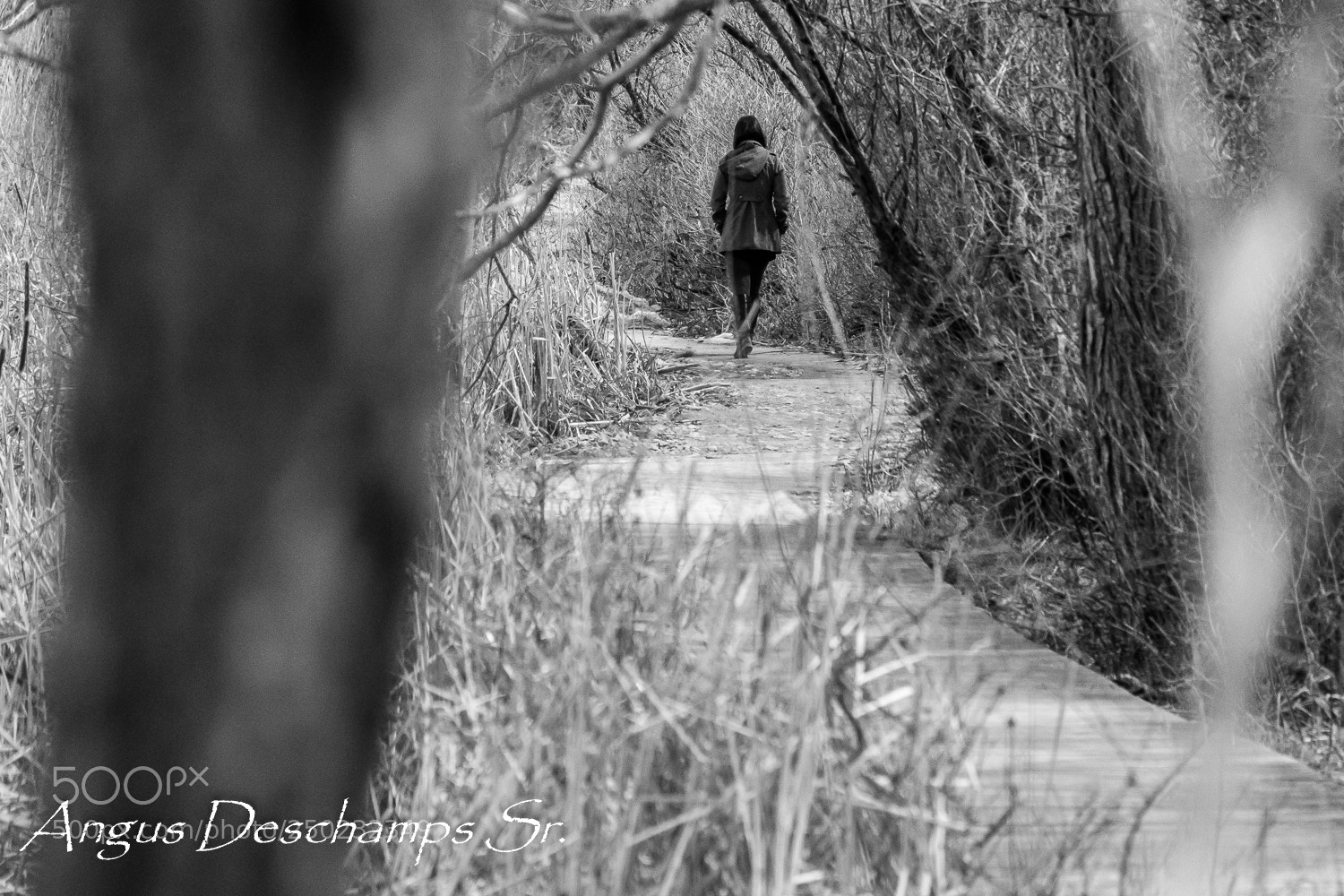 Canon EOS 70D sample photo. I walk alone photography