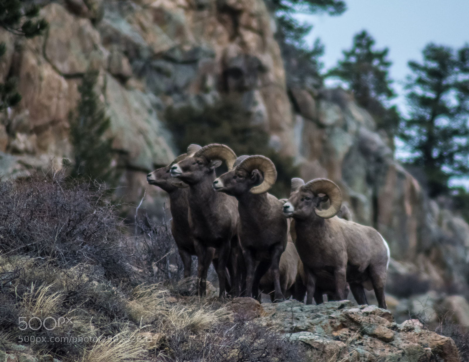 Nikon D7100 sample photo. Poudre canyon photography