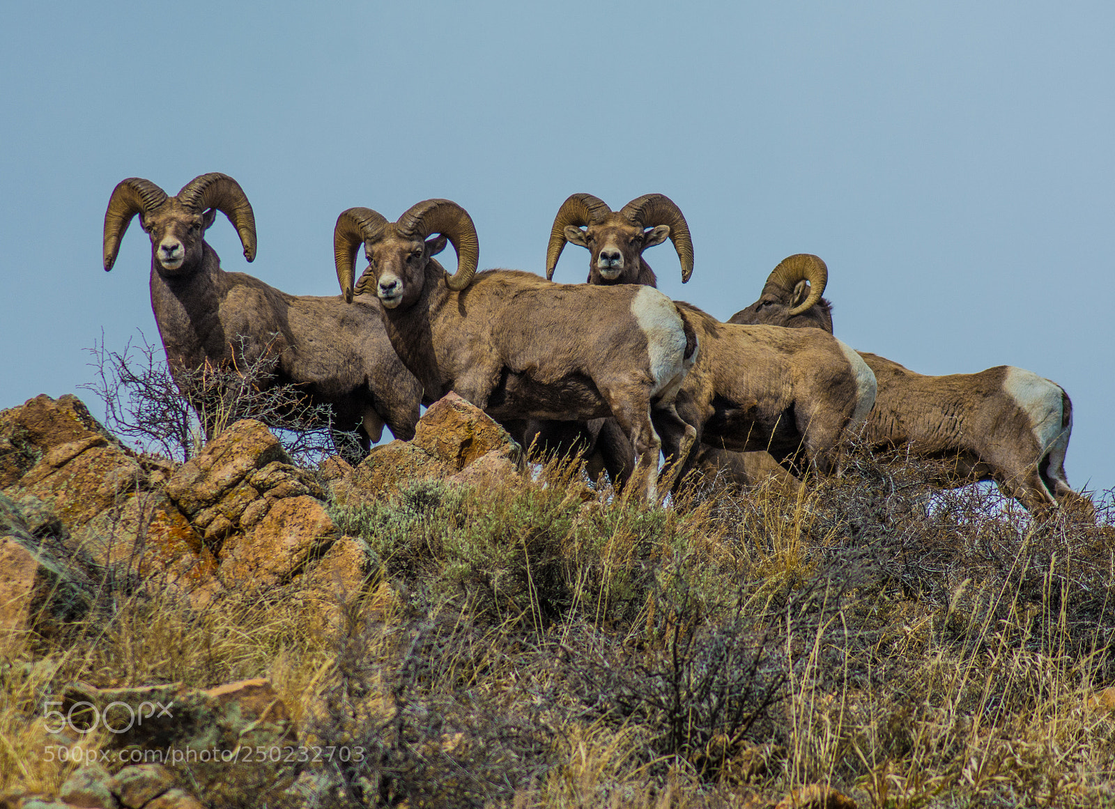 Nikon D7100 sample photo. Poudre canyon photography