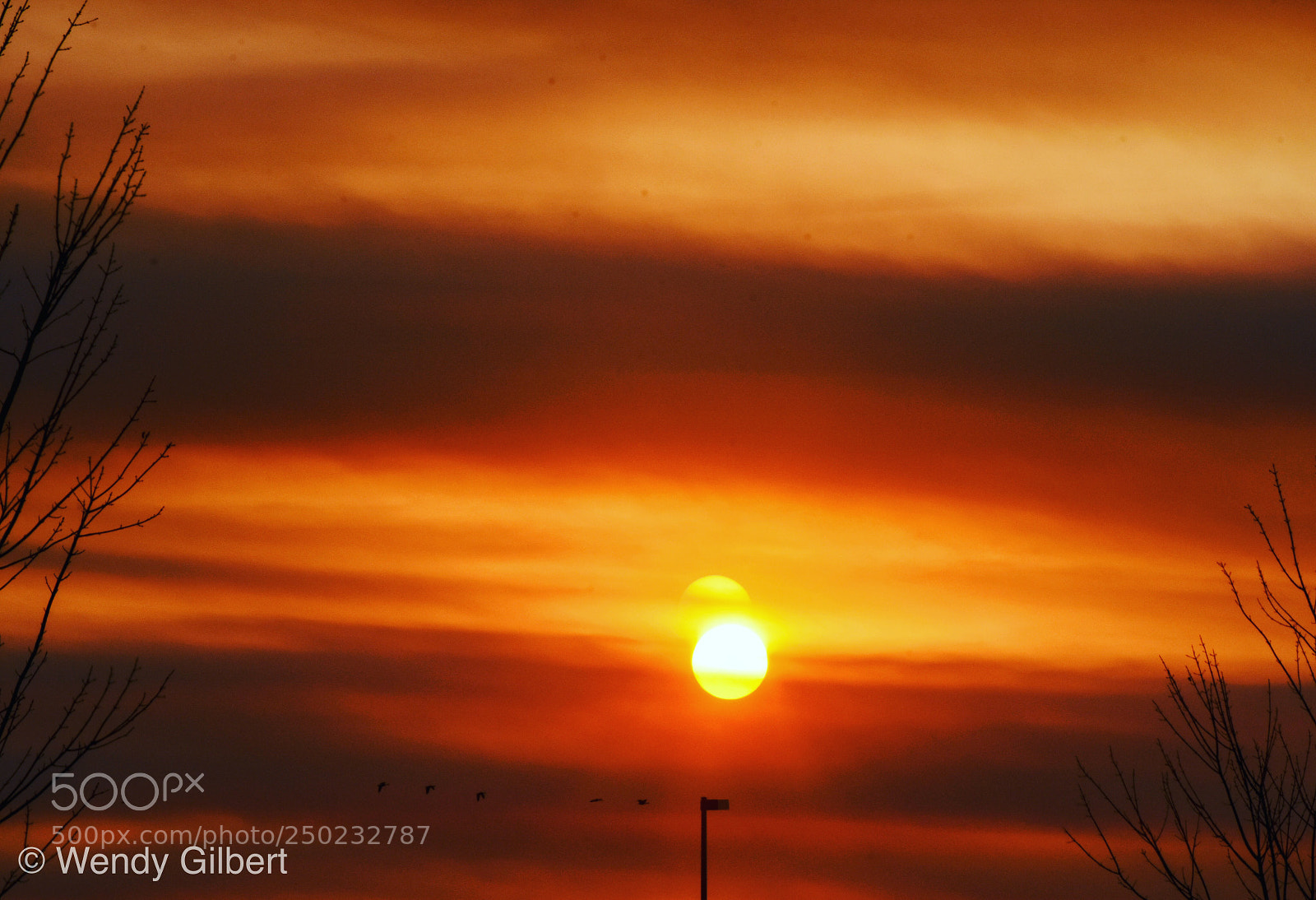 Nikon D7200 sample photo. Sunset delight photography