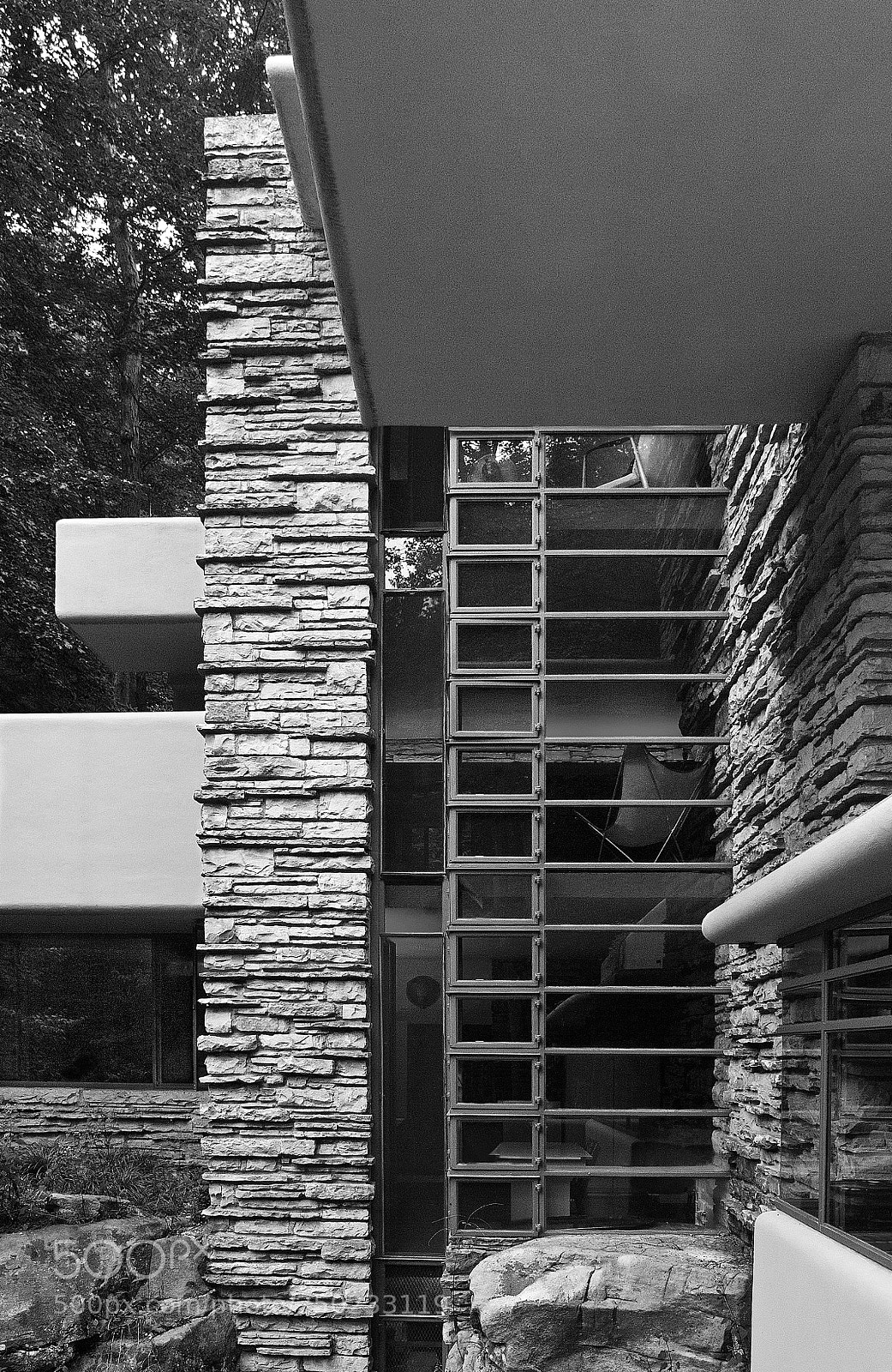 Nikon D700 sample photo. Organic architecture photography