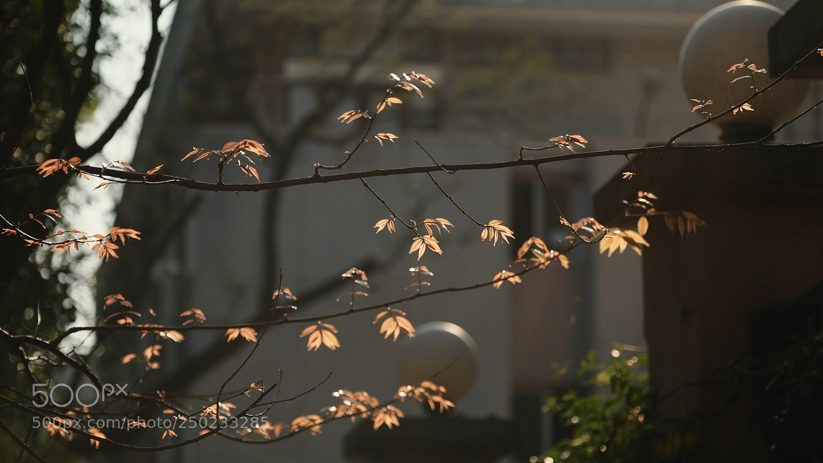 Fujifilm X-T20 sample photo. Untitled photography