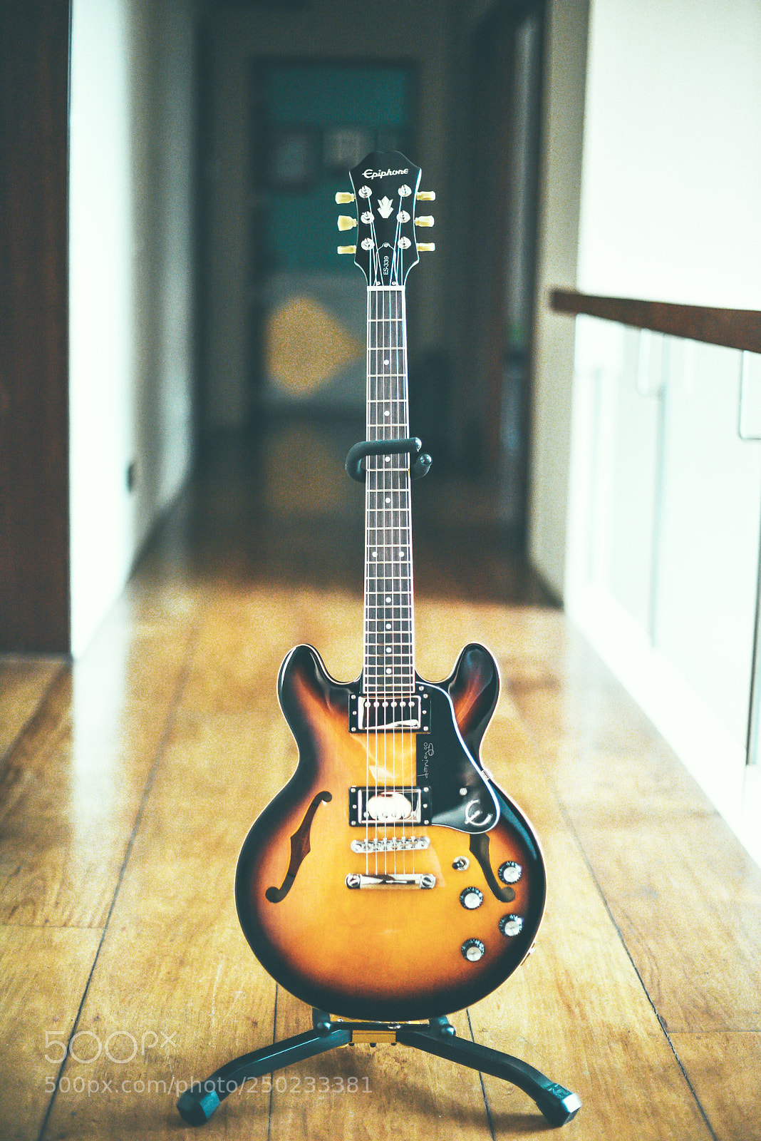 Nikon D810 sample photo. Epiphone 339 pro photography