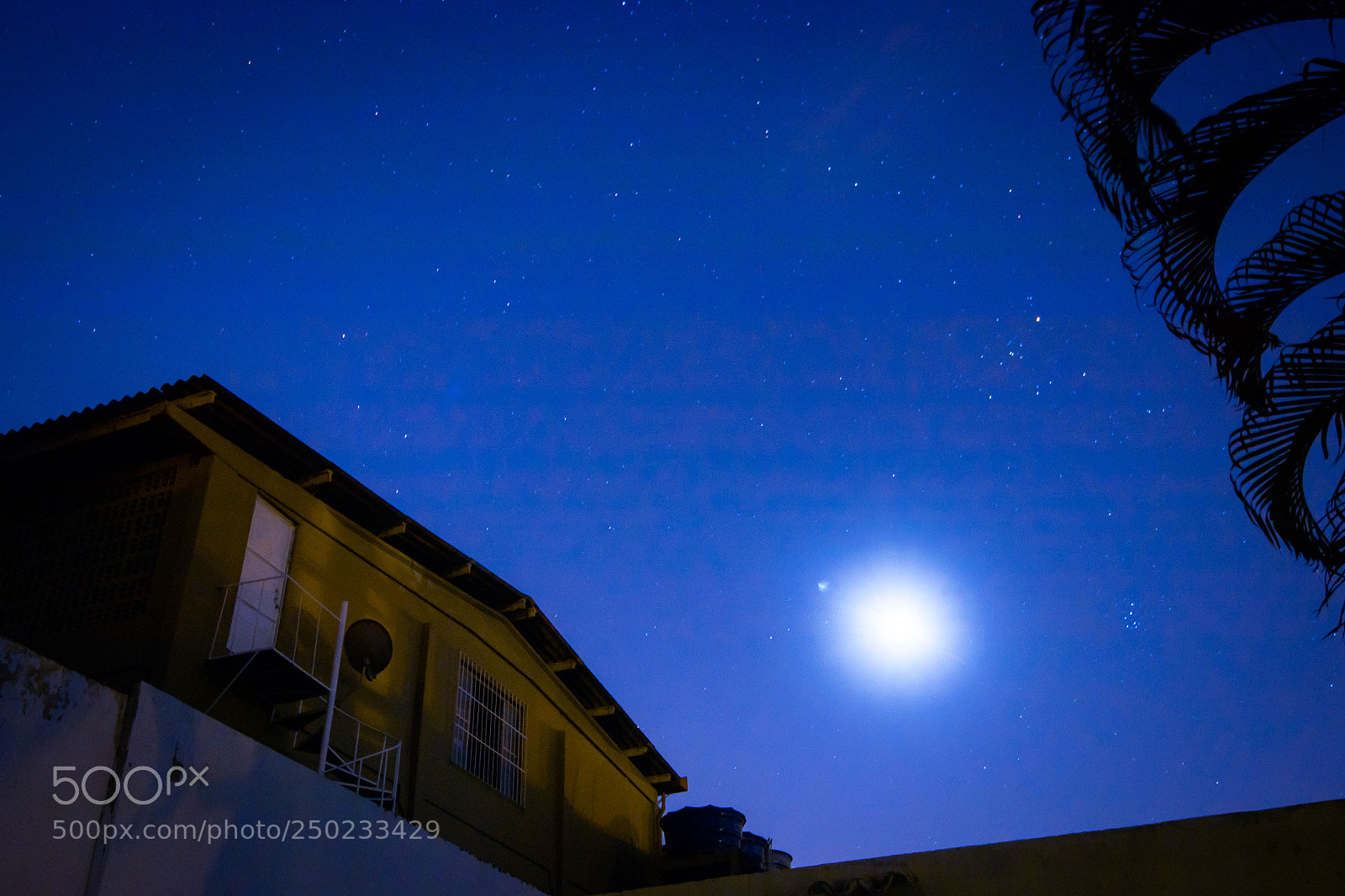 Canon EOS 80D sample photo. Nightshot training at blackout photography