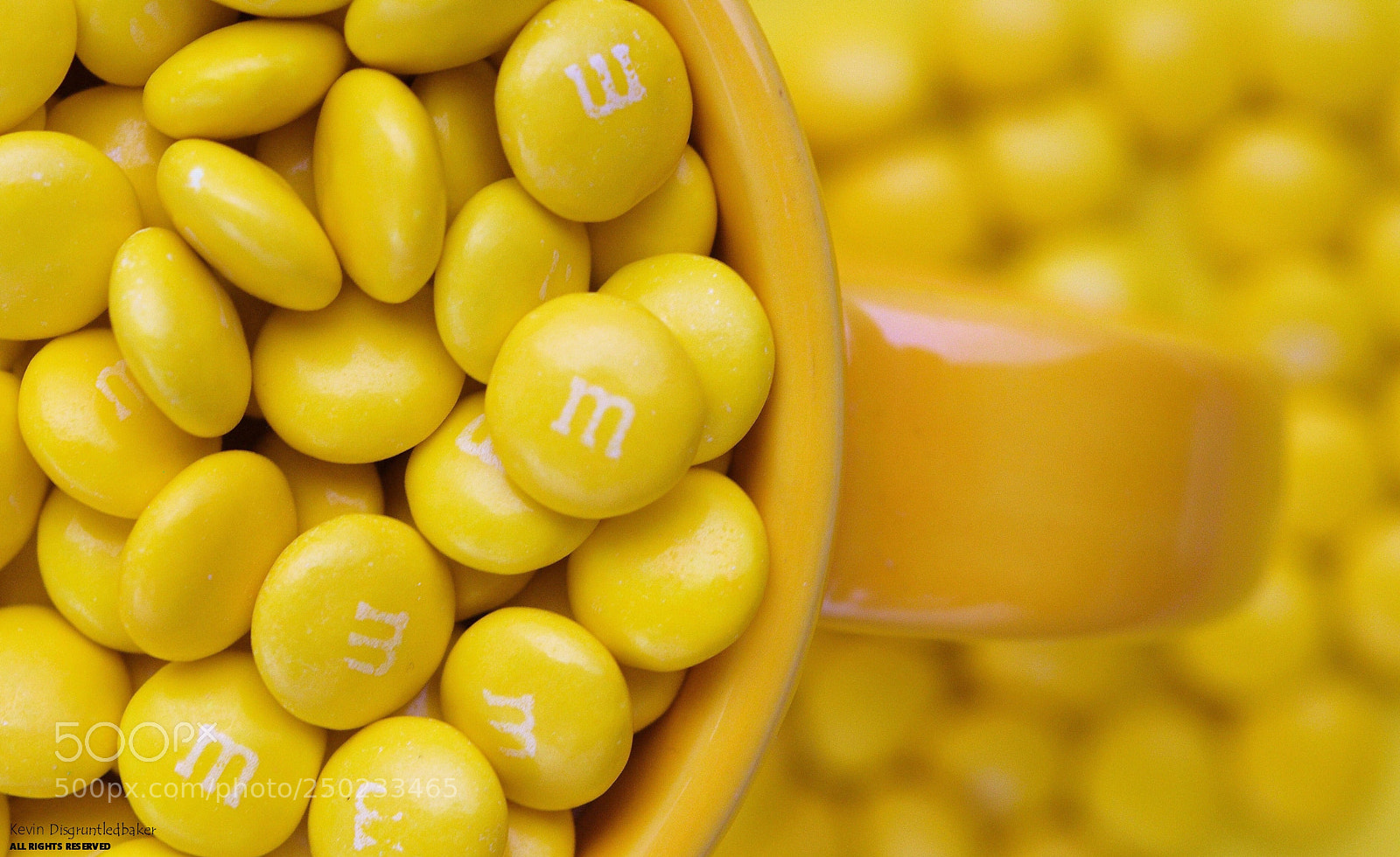 Nikon D90 sample photo. They were all yellow photography