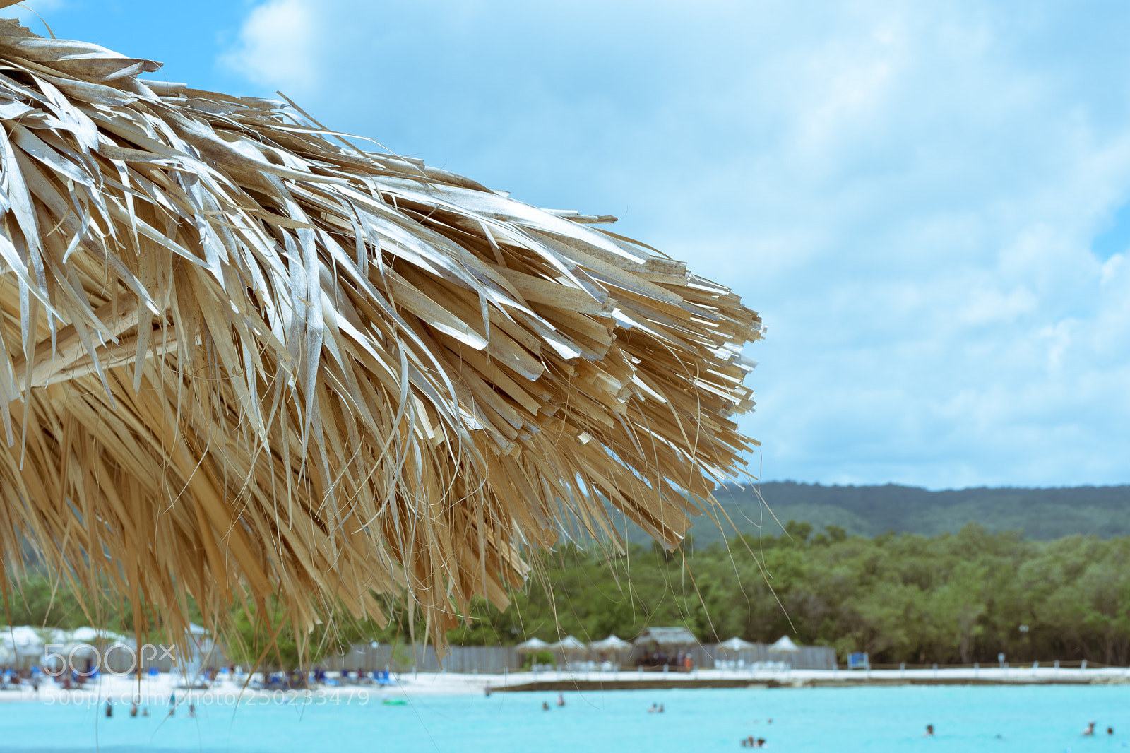 Nikon D500 sample photo. Jamaica (of ) photography
